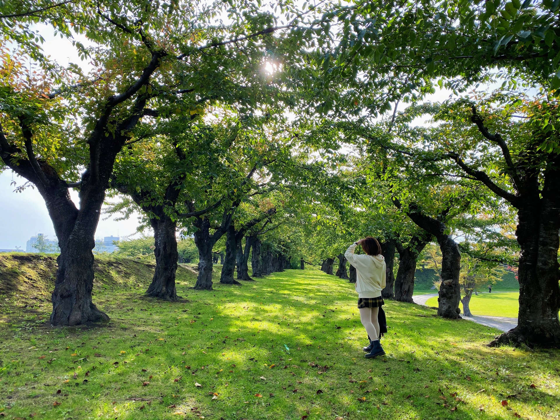 北海道自助遊攻略