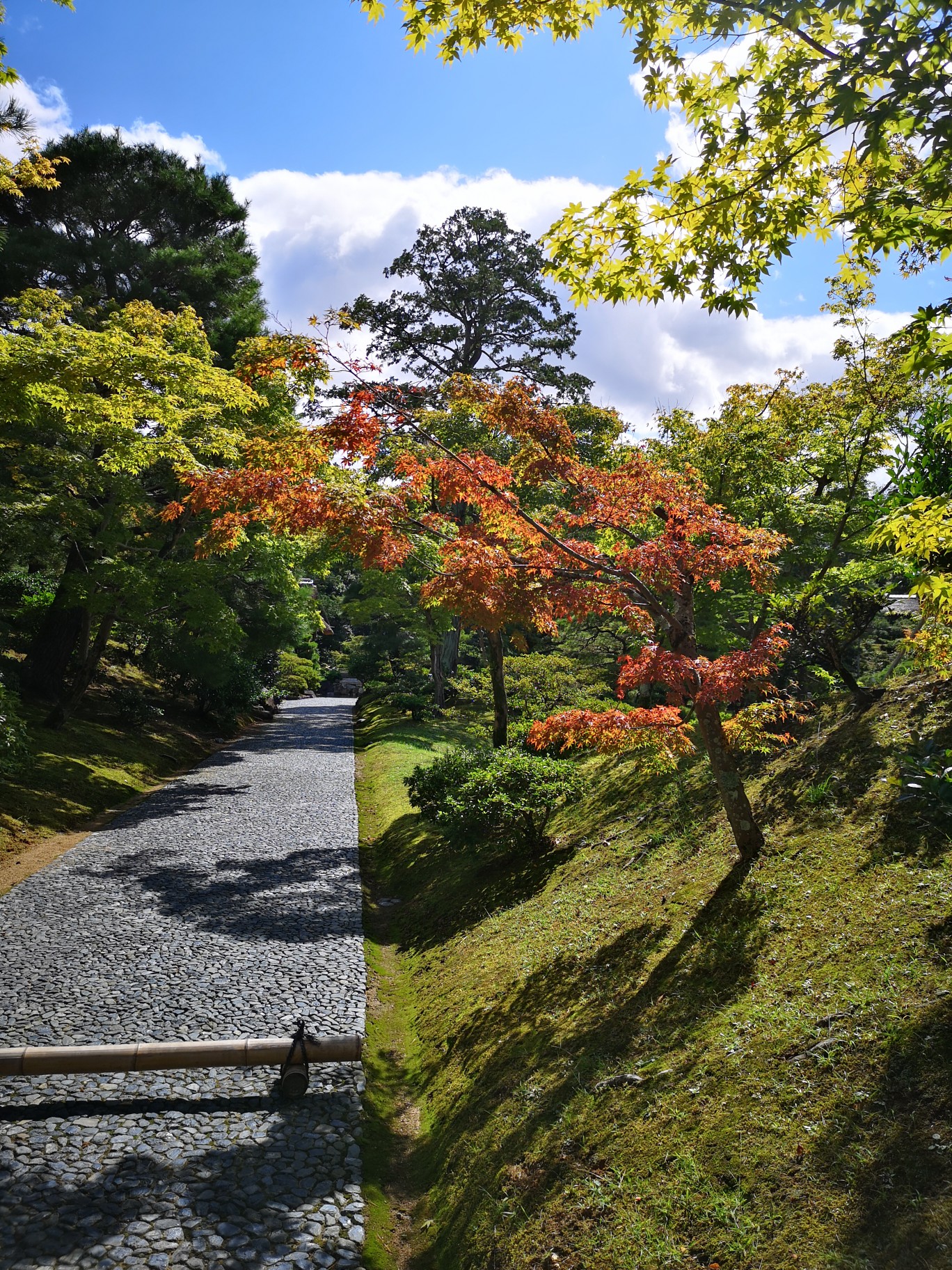 京都自助遊攻略