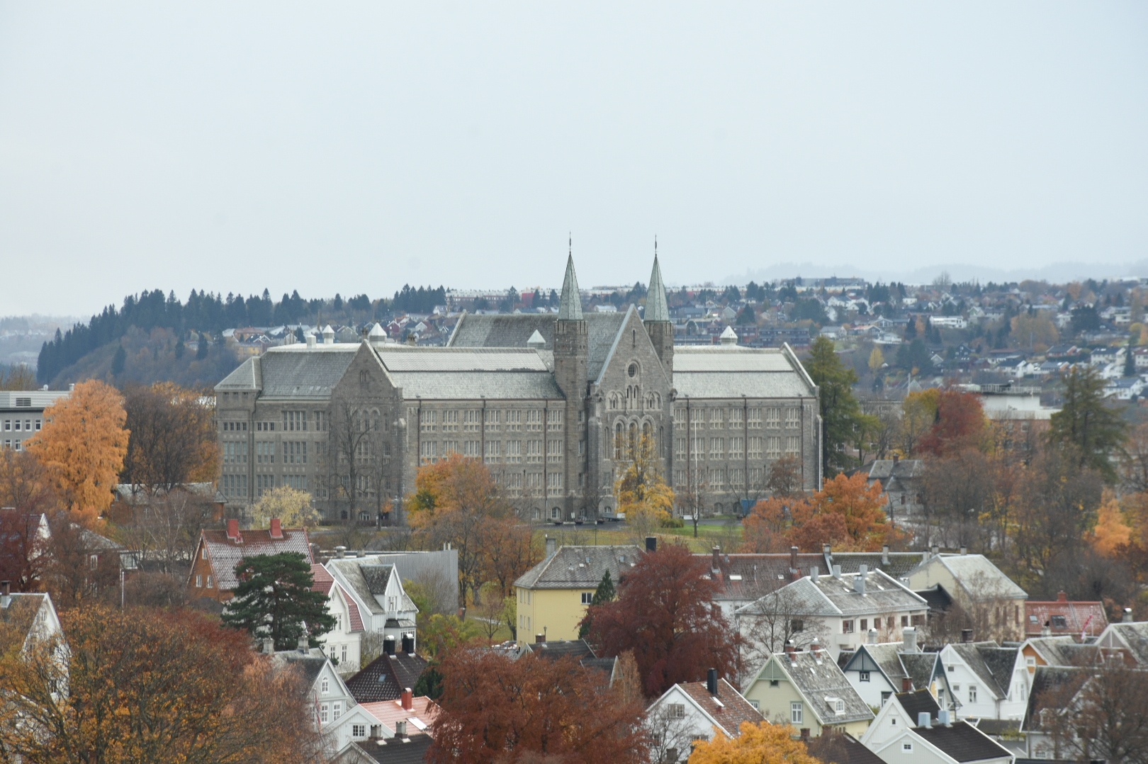 NTNU University Museum