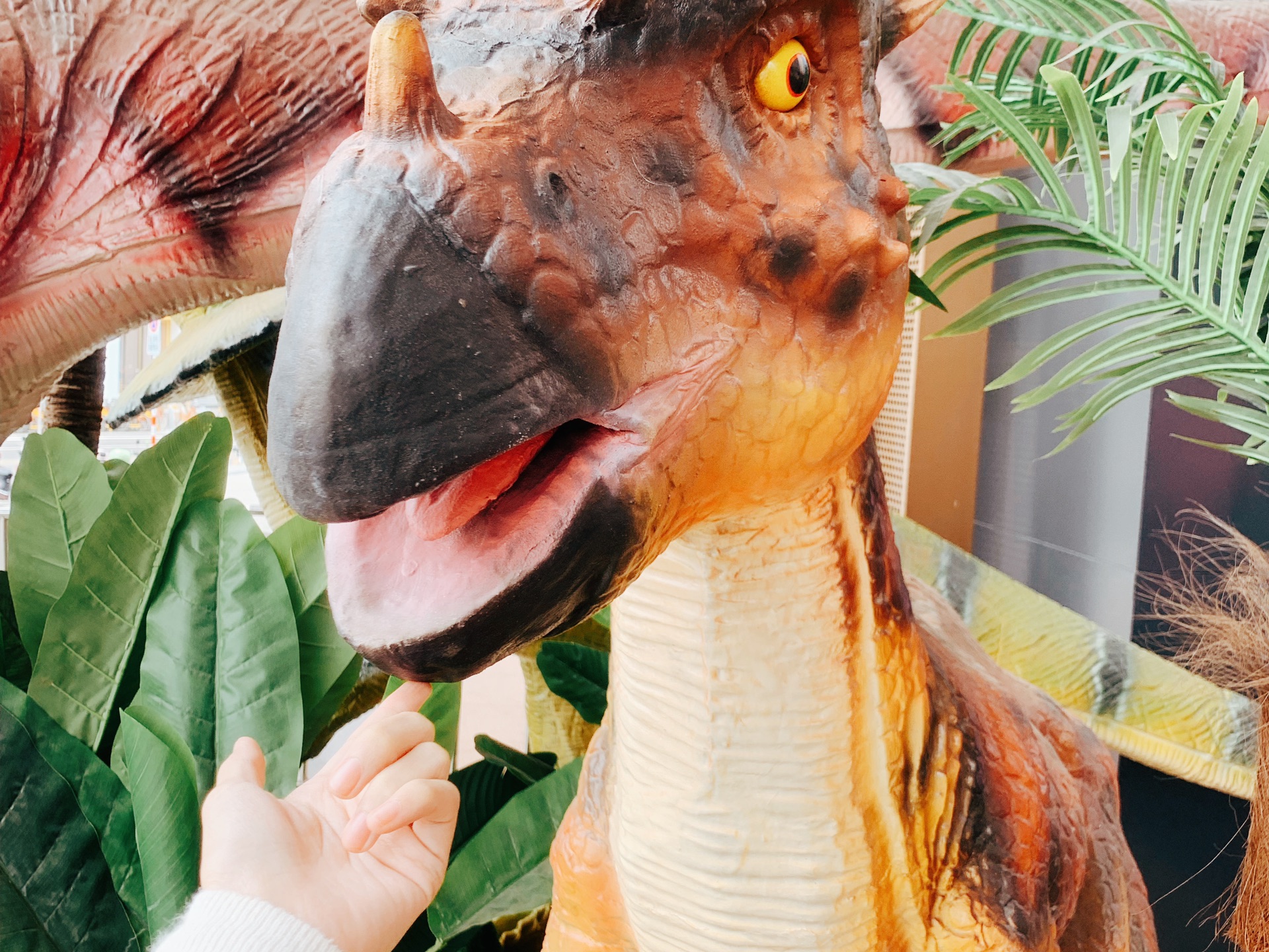 莆田冰雪乐园 莆田冰雪乐园