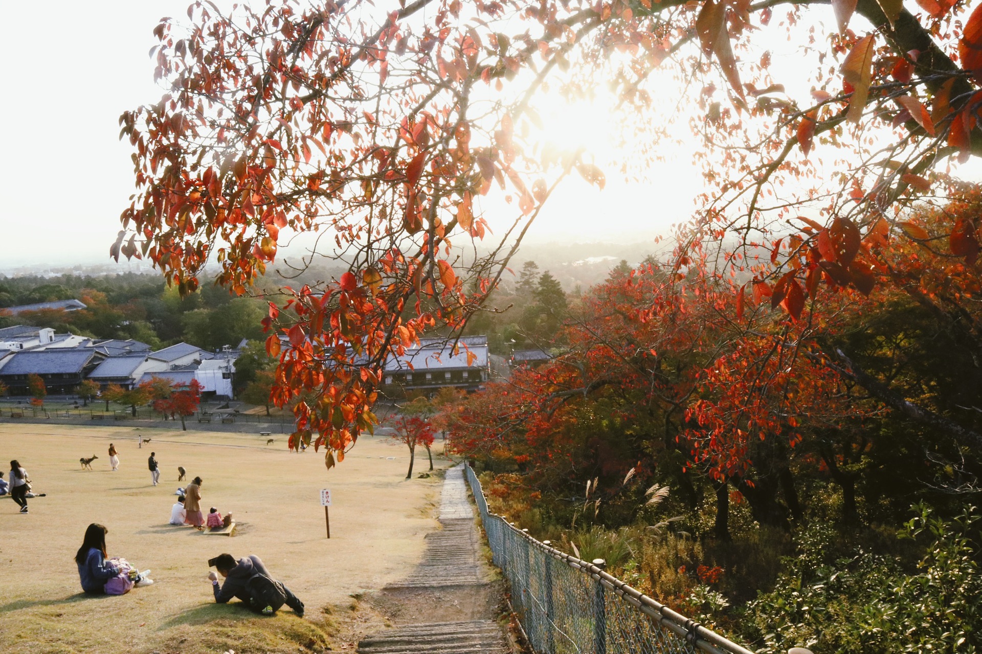 京都自助遊攻略