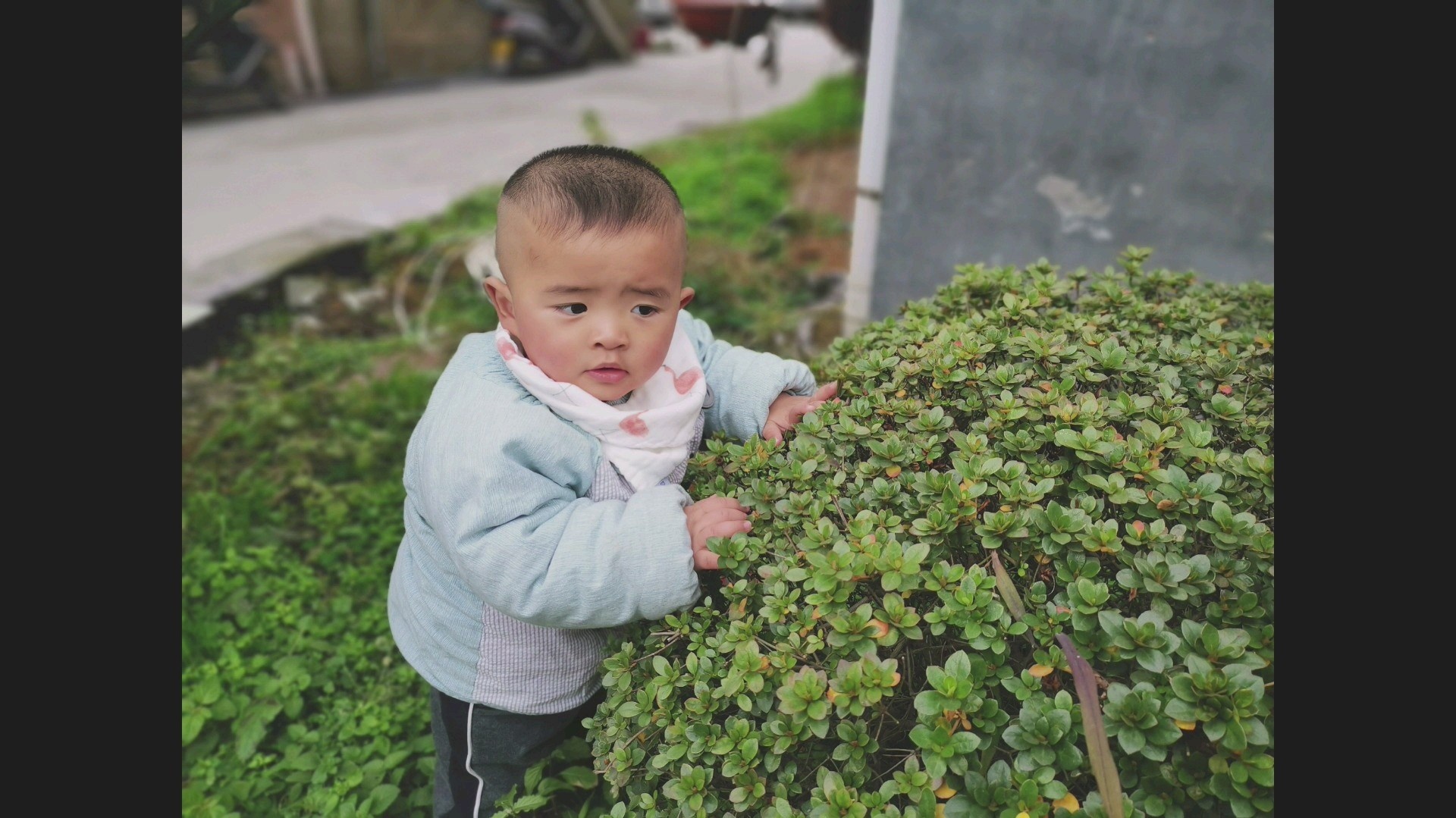 锦屏美食-锦屏县莘莘私家烘焙馆