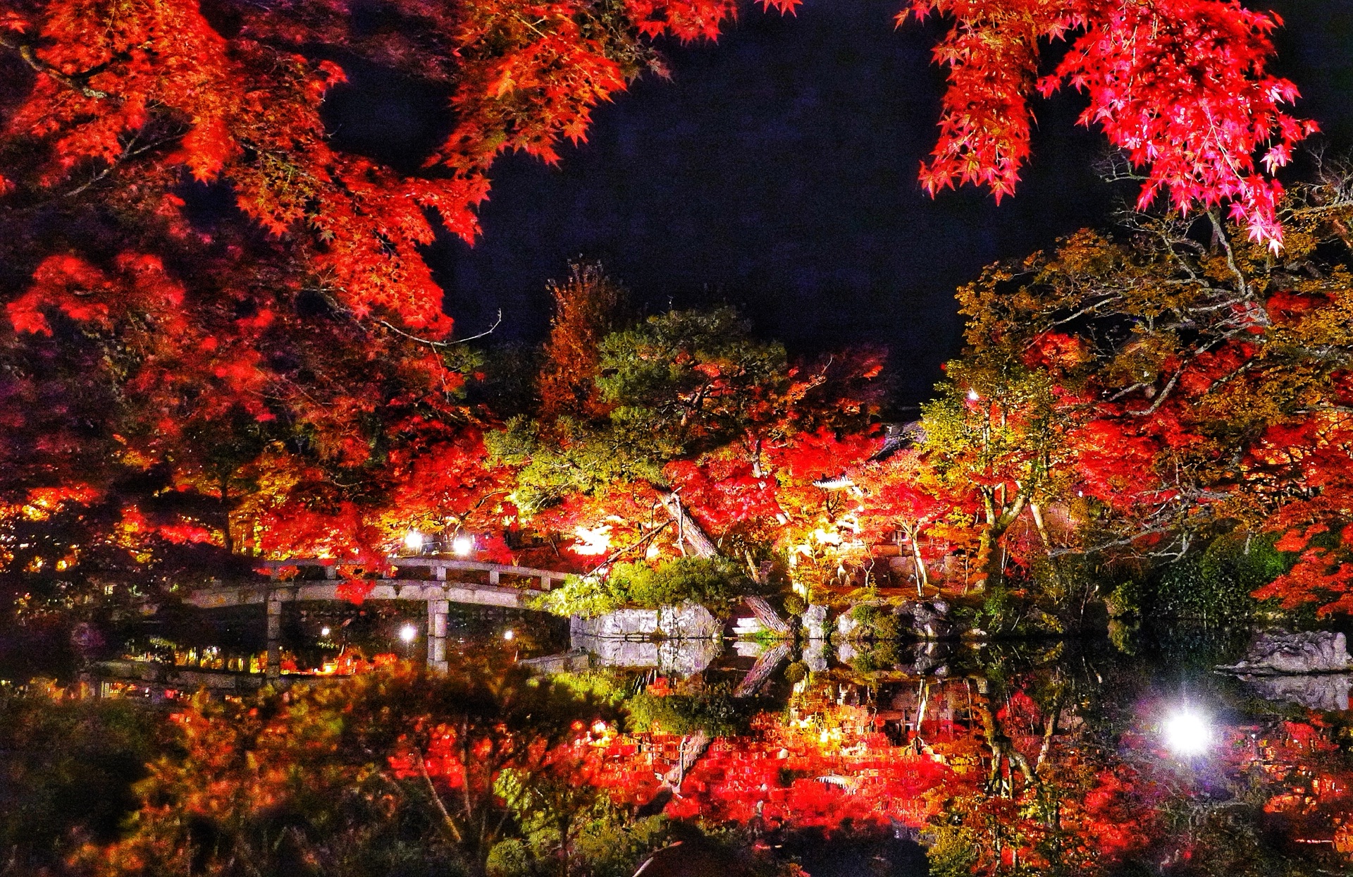 京都自助遊攻略