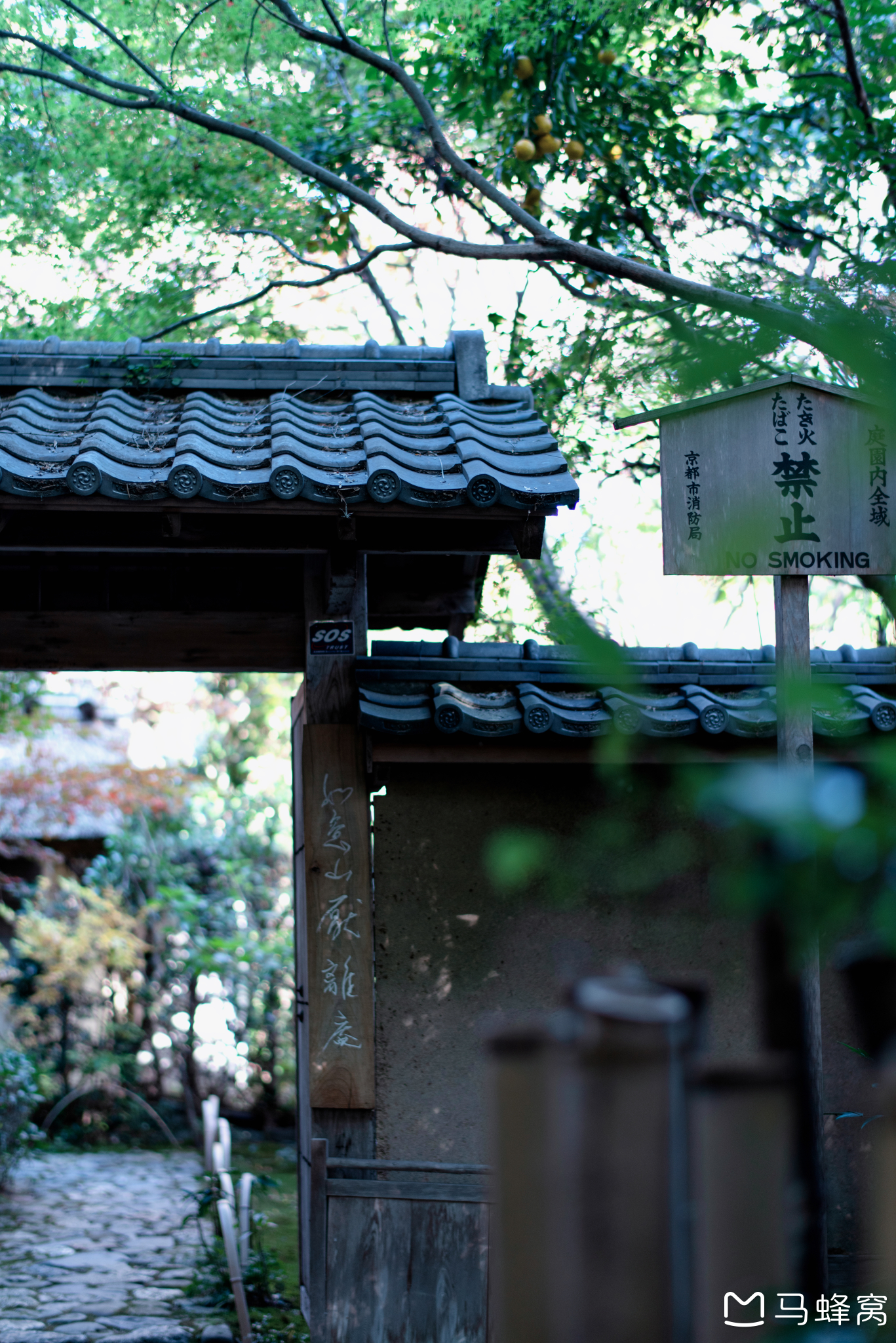 京都自助遊攻略