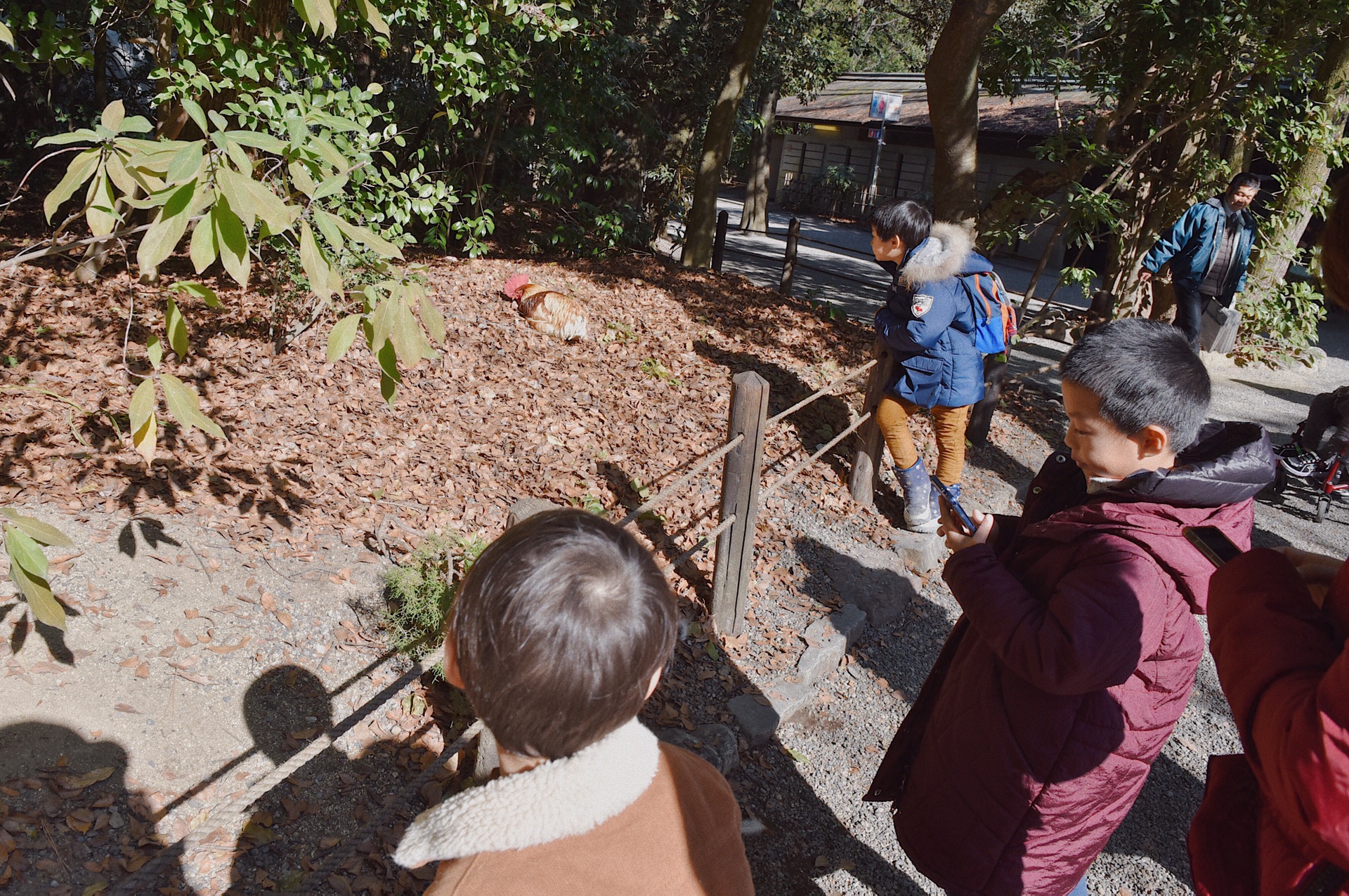 名古屋自助遊攻略