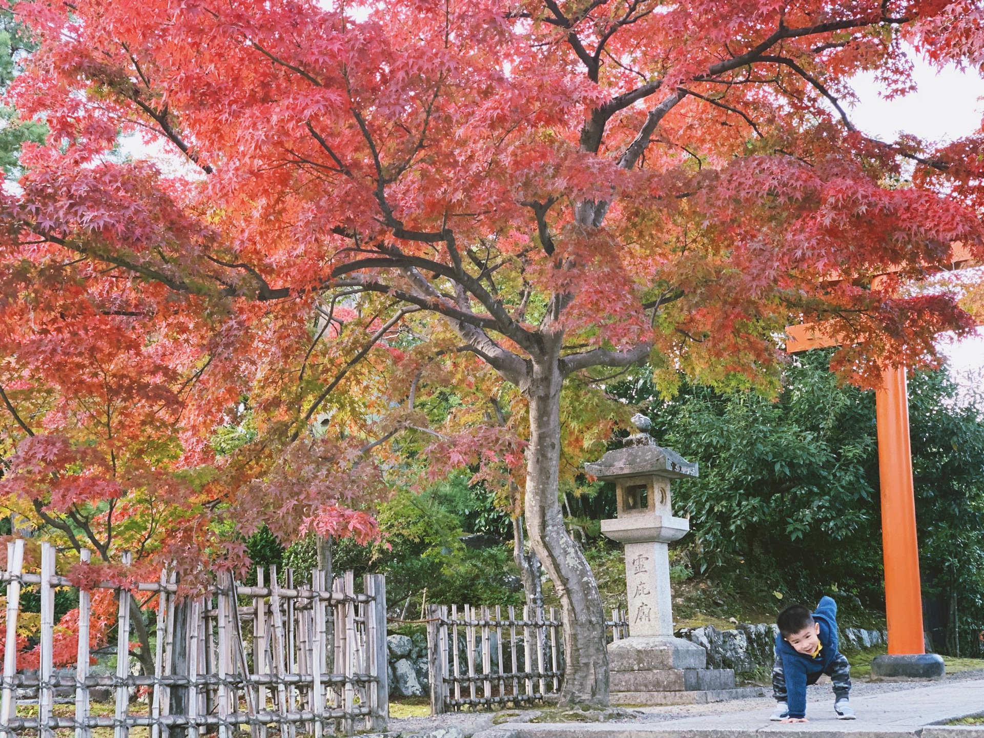 京都自助遊攻略