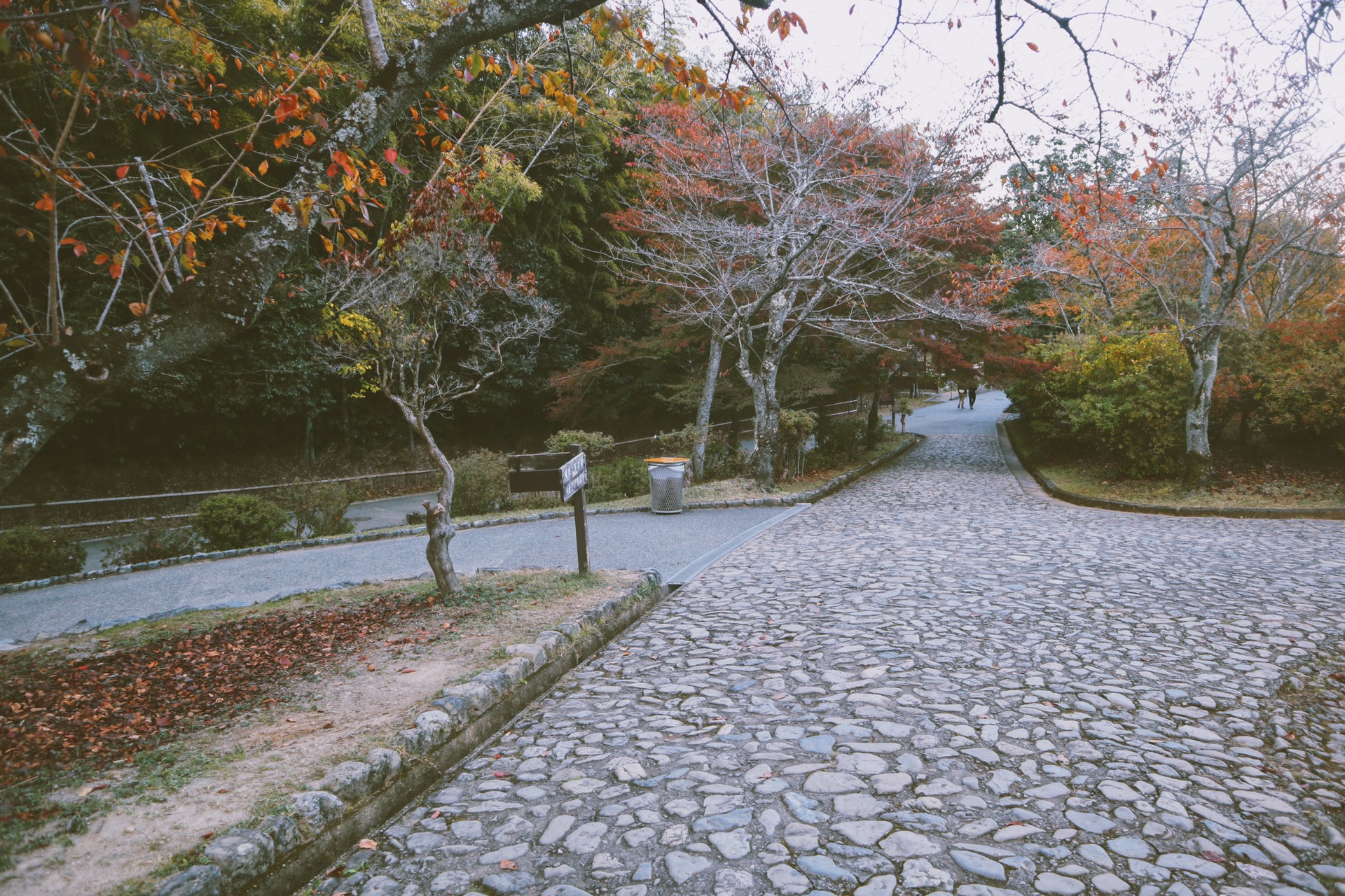 京都自助遊攻略