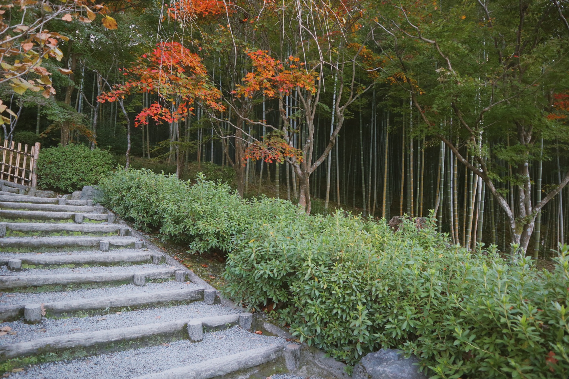 京都自助遊攻略