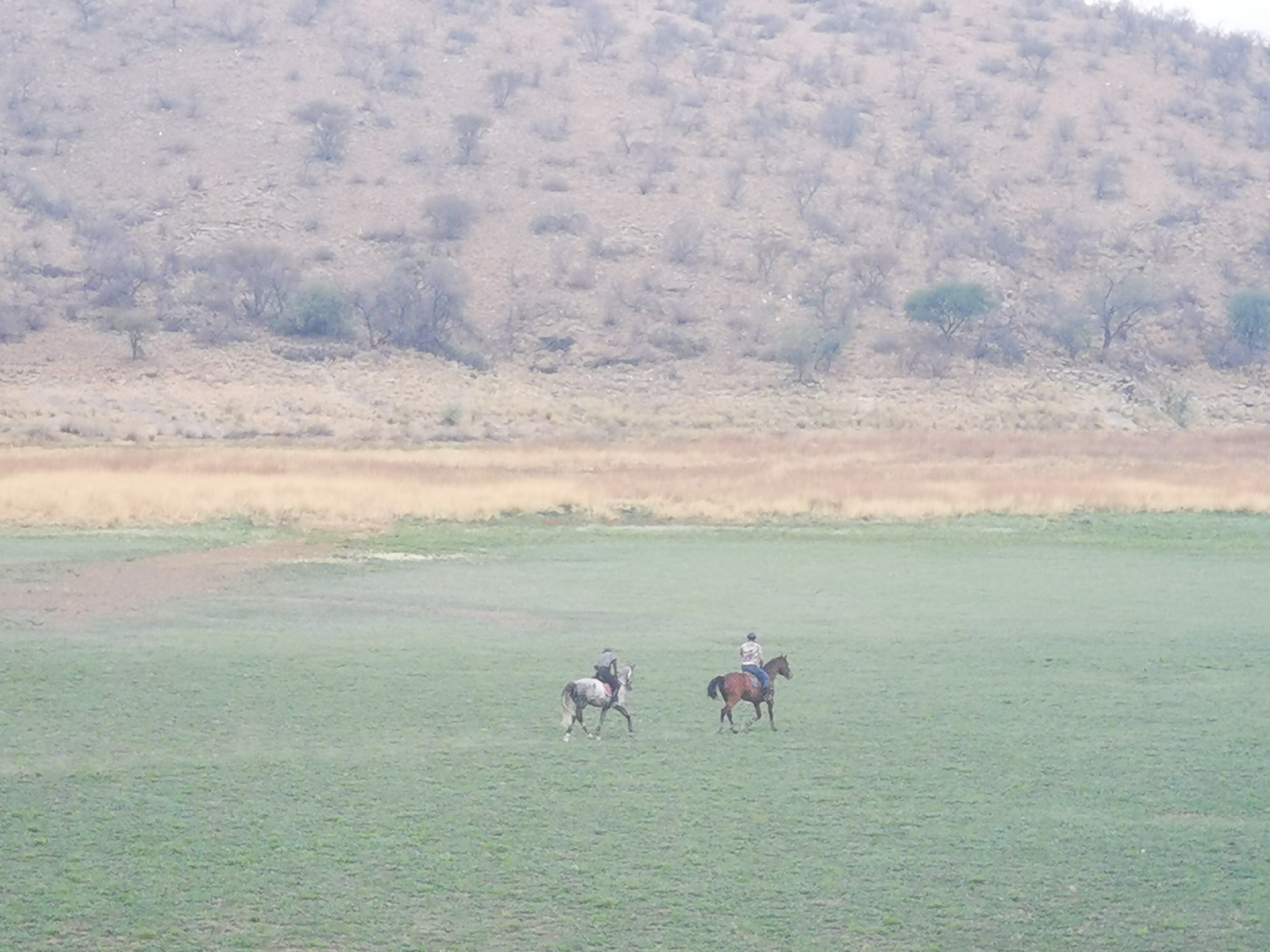 Avis Dam Nature Reserve