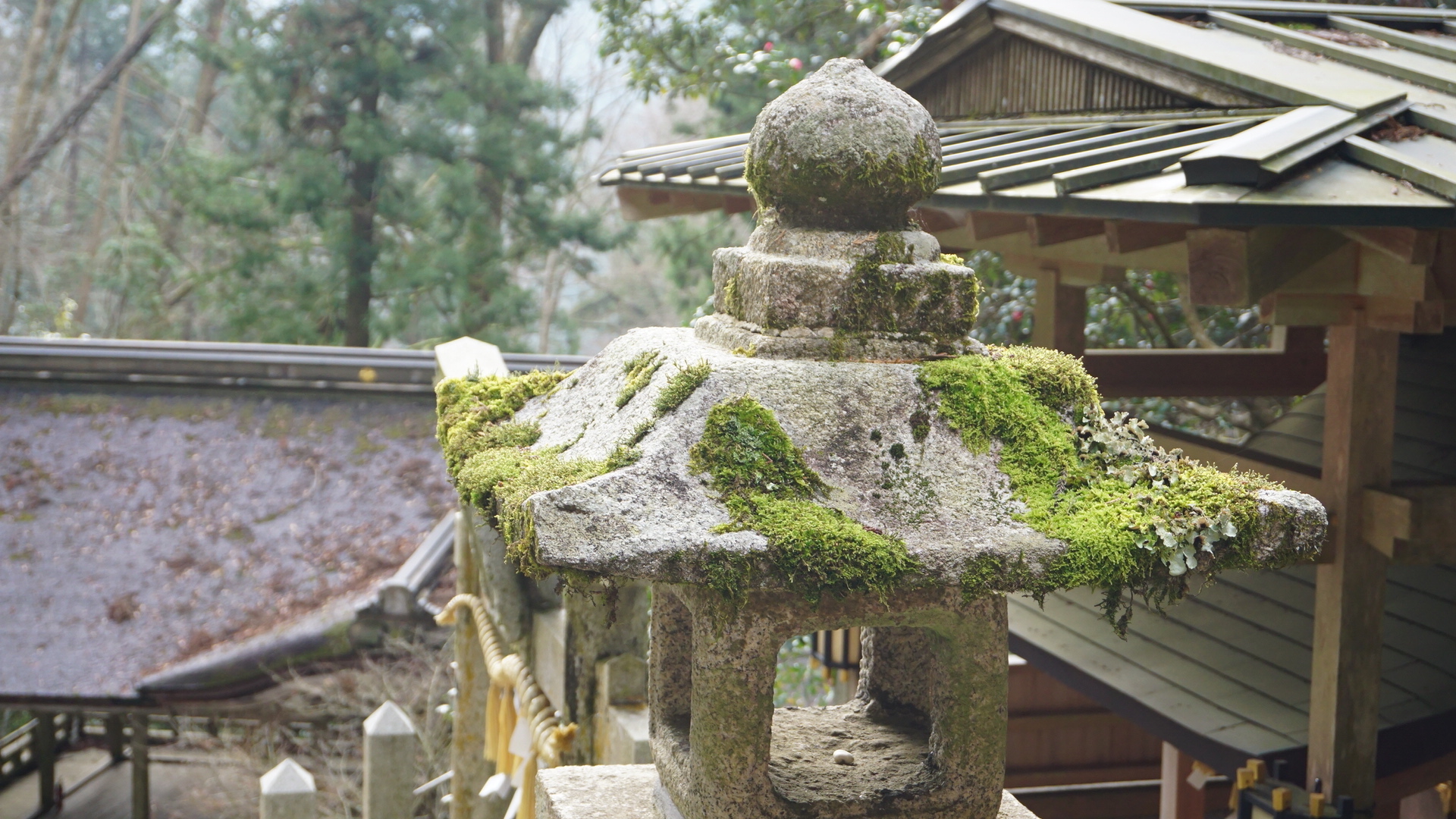 京都自助遊攻略