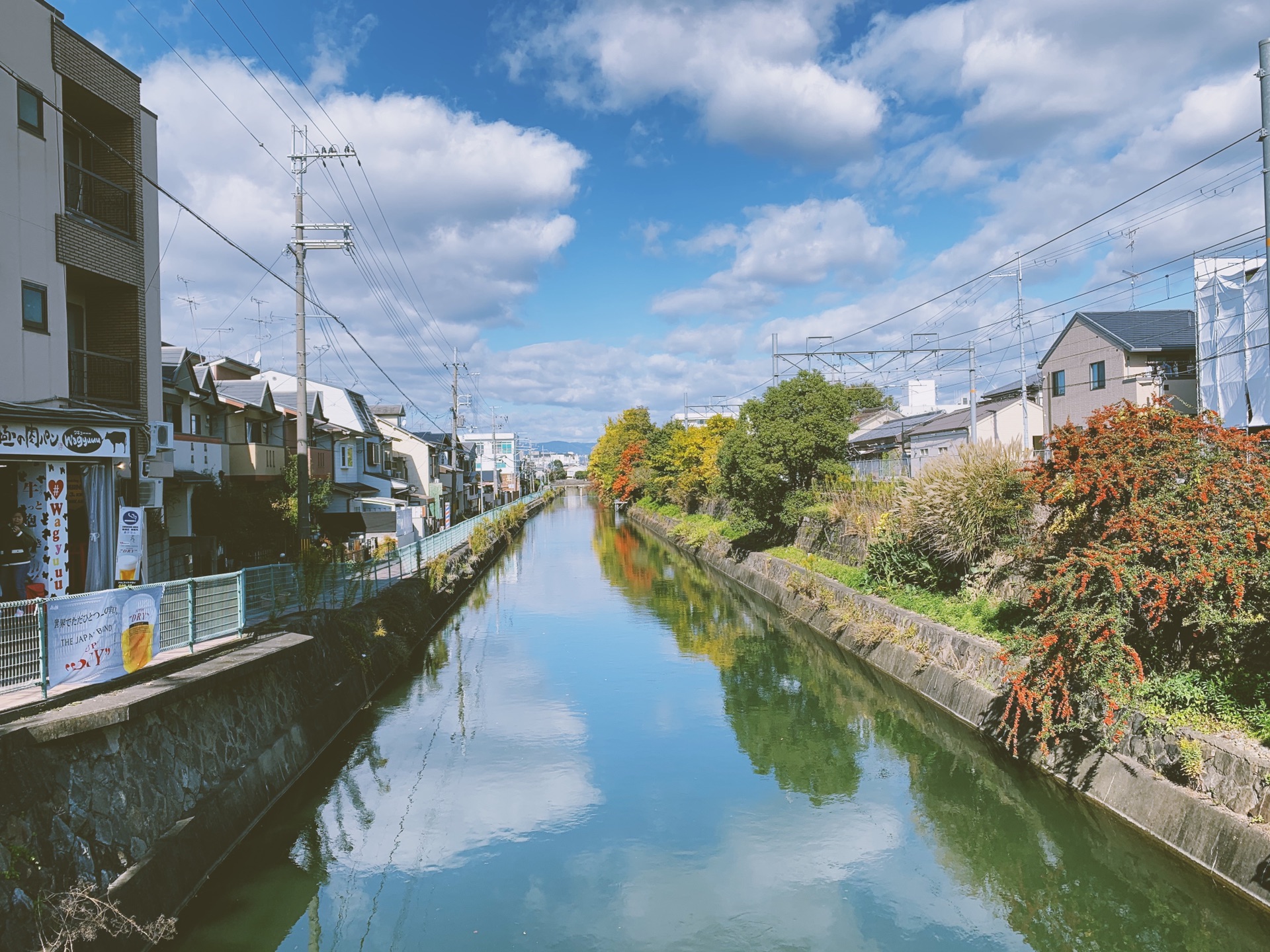 京都自助遊攻略