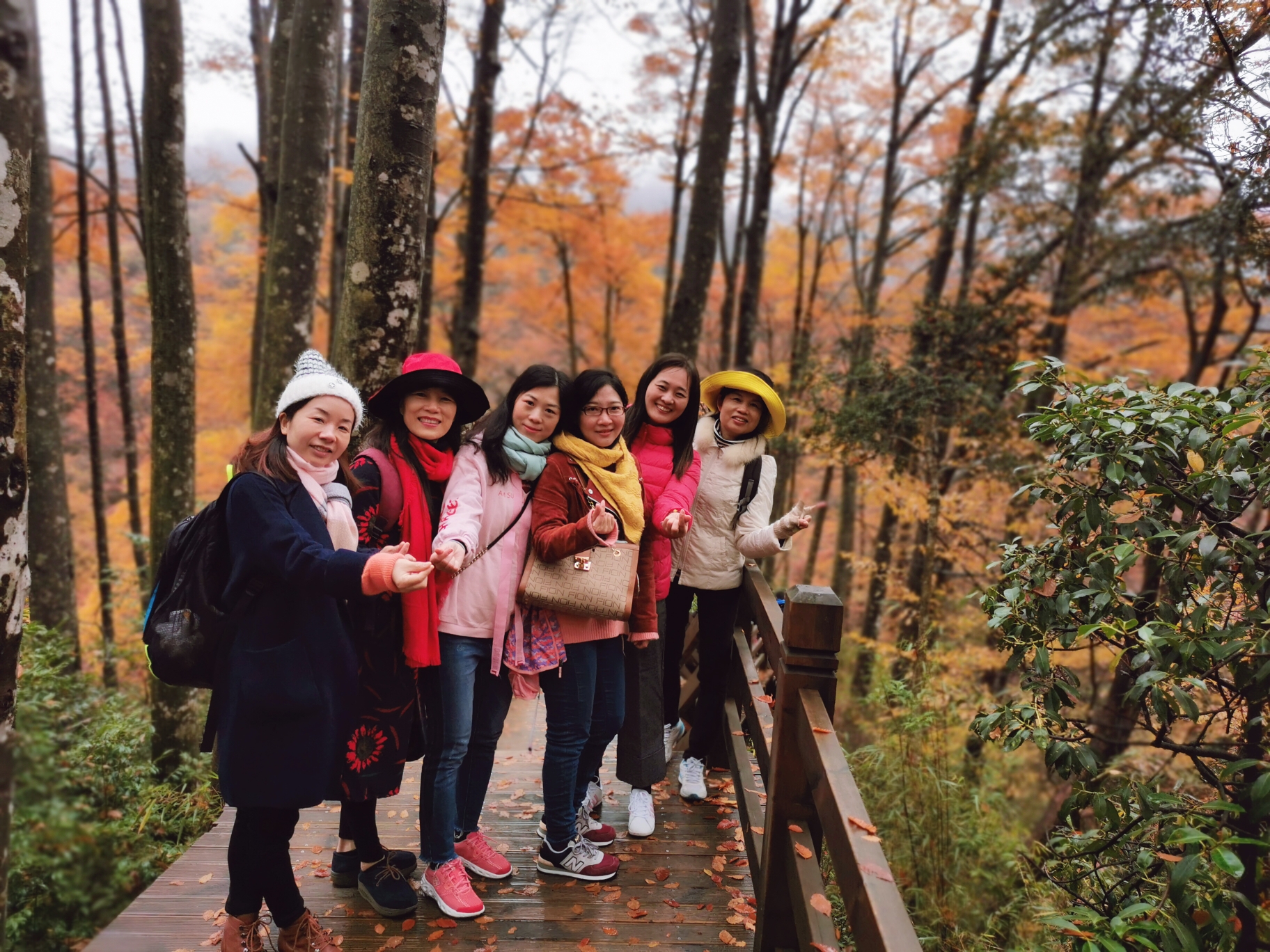 川东北赏秋小环线 记光雾山及鸳鸯池林场,南江旅游攻略 马蜂窝