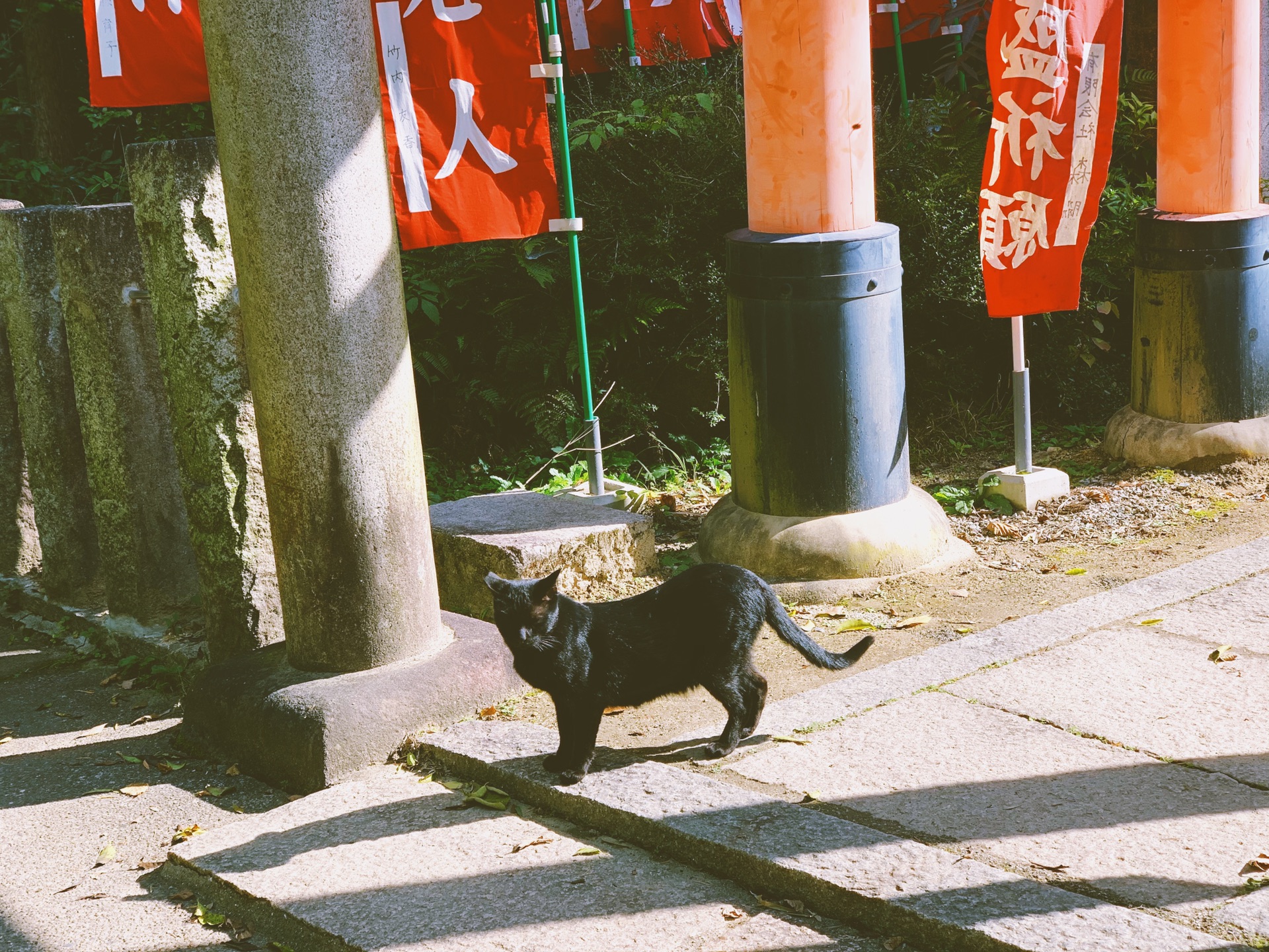 京都自助遊攻略