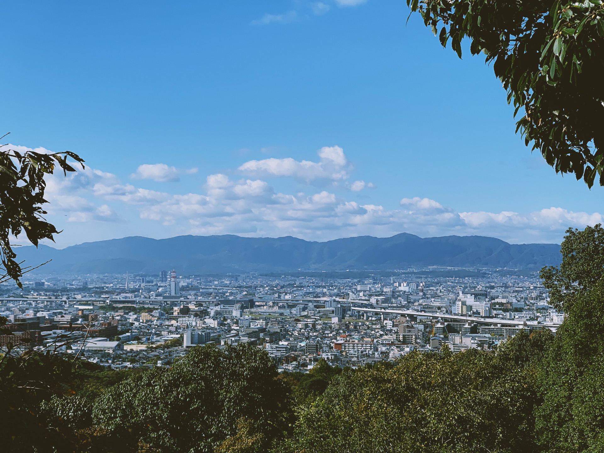 京都自助遊攻略