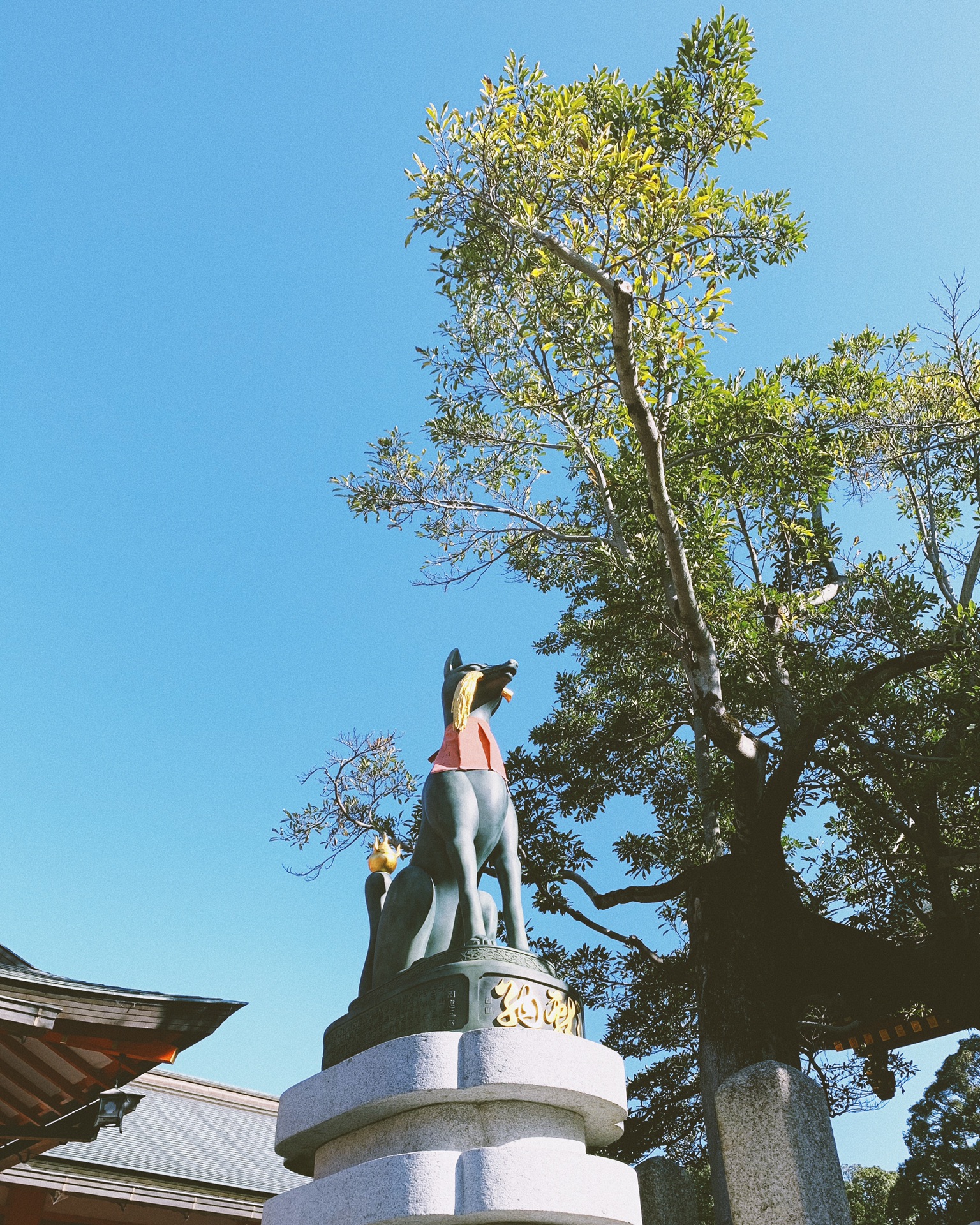 京都自助遊攻略