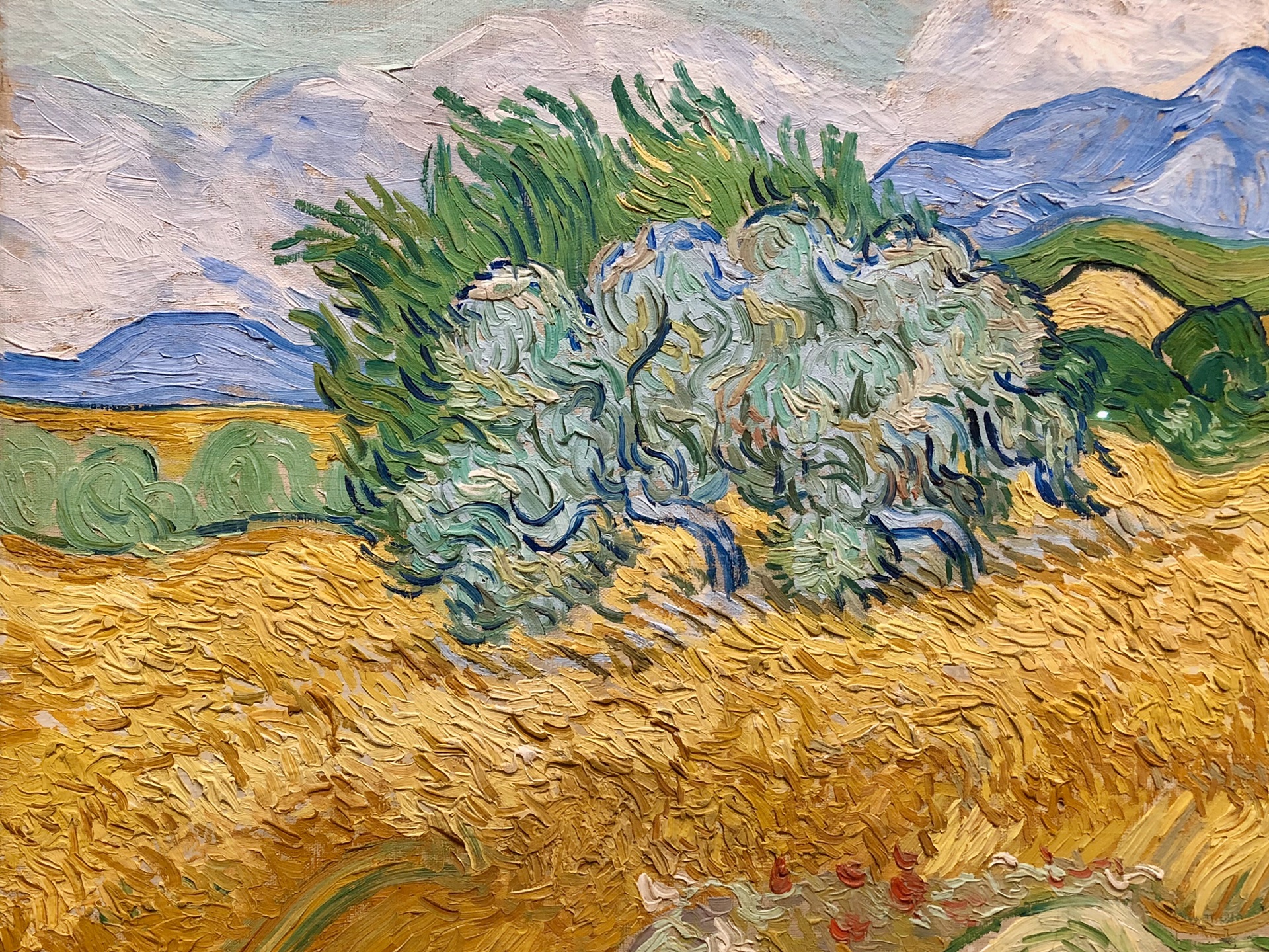 梵高·《麦田里的丝柏树》