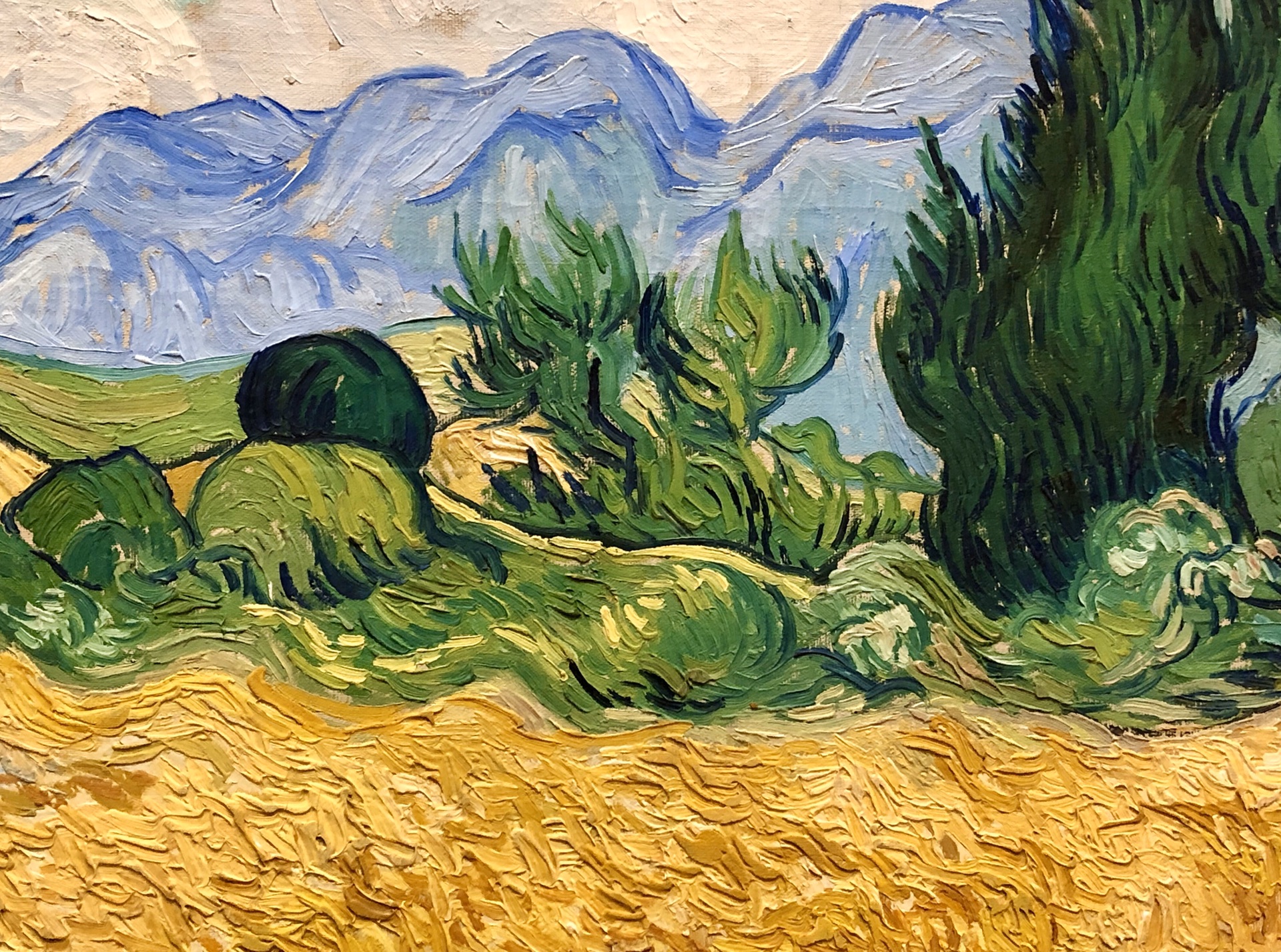 梵高·《麦田里的丝柏树》