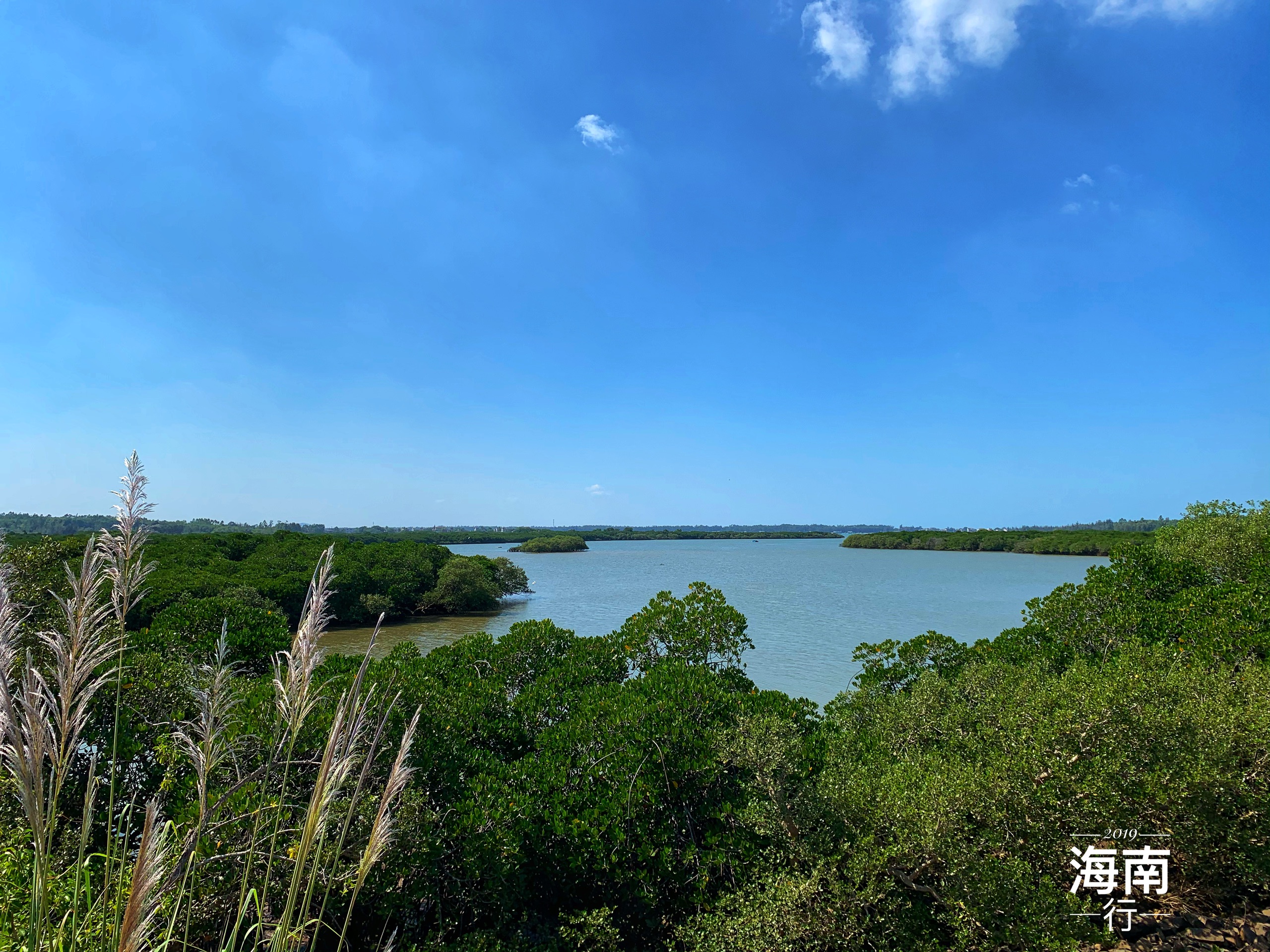 【臨高景點圖片】彩橋紅樹林自然保護區