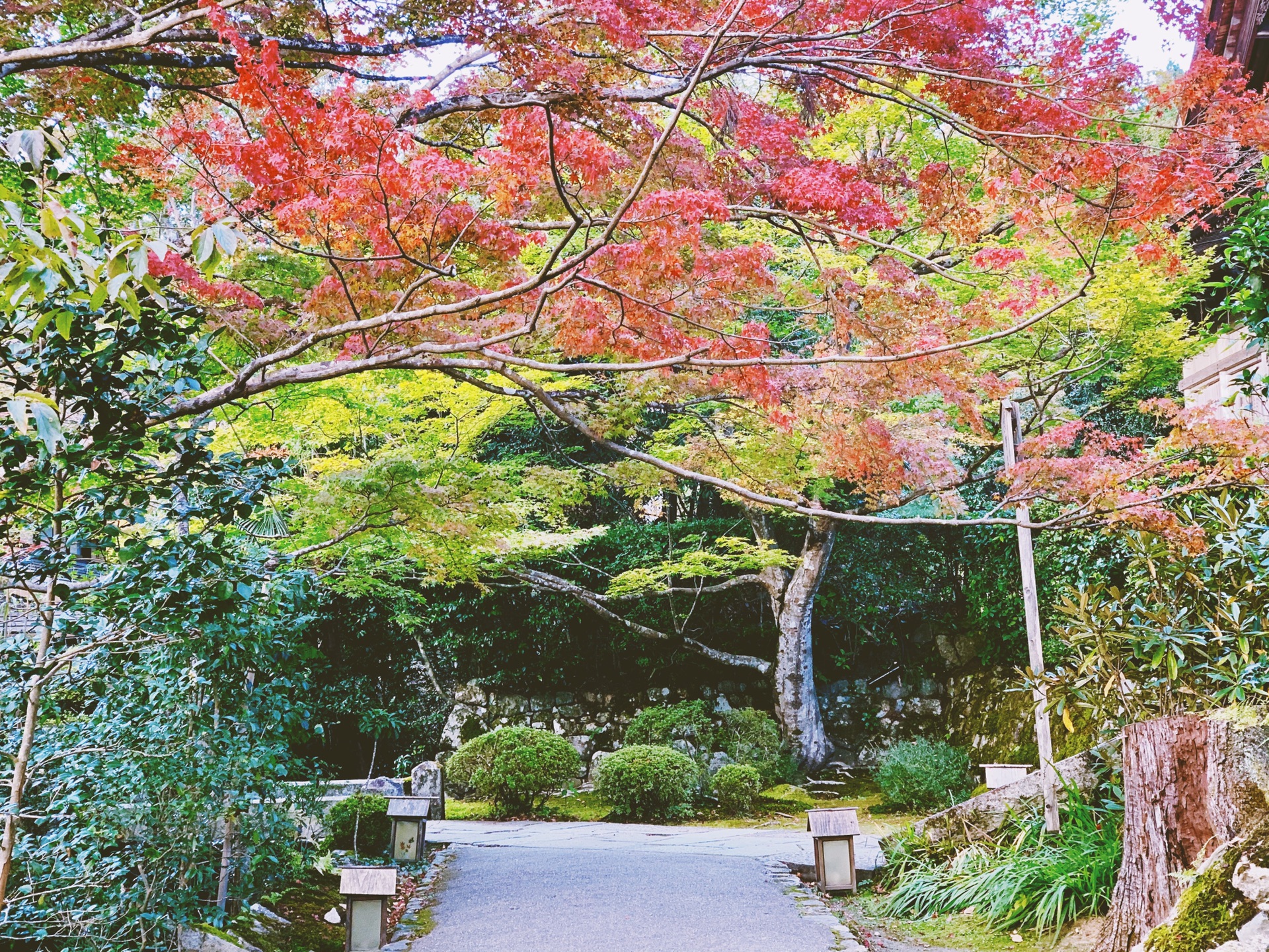 京都自助遊攻略