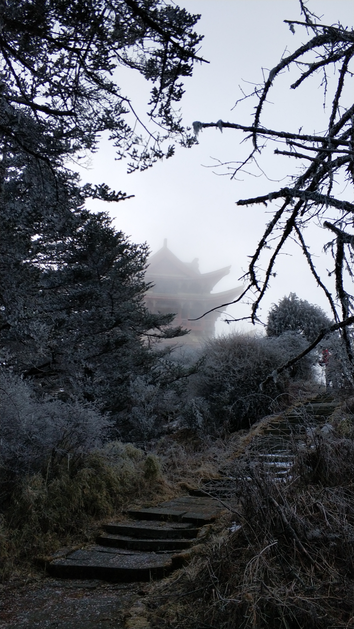 冰雪神功苦蒿坪穿越万佛顶金顶峨眉山后山穿越