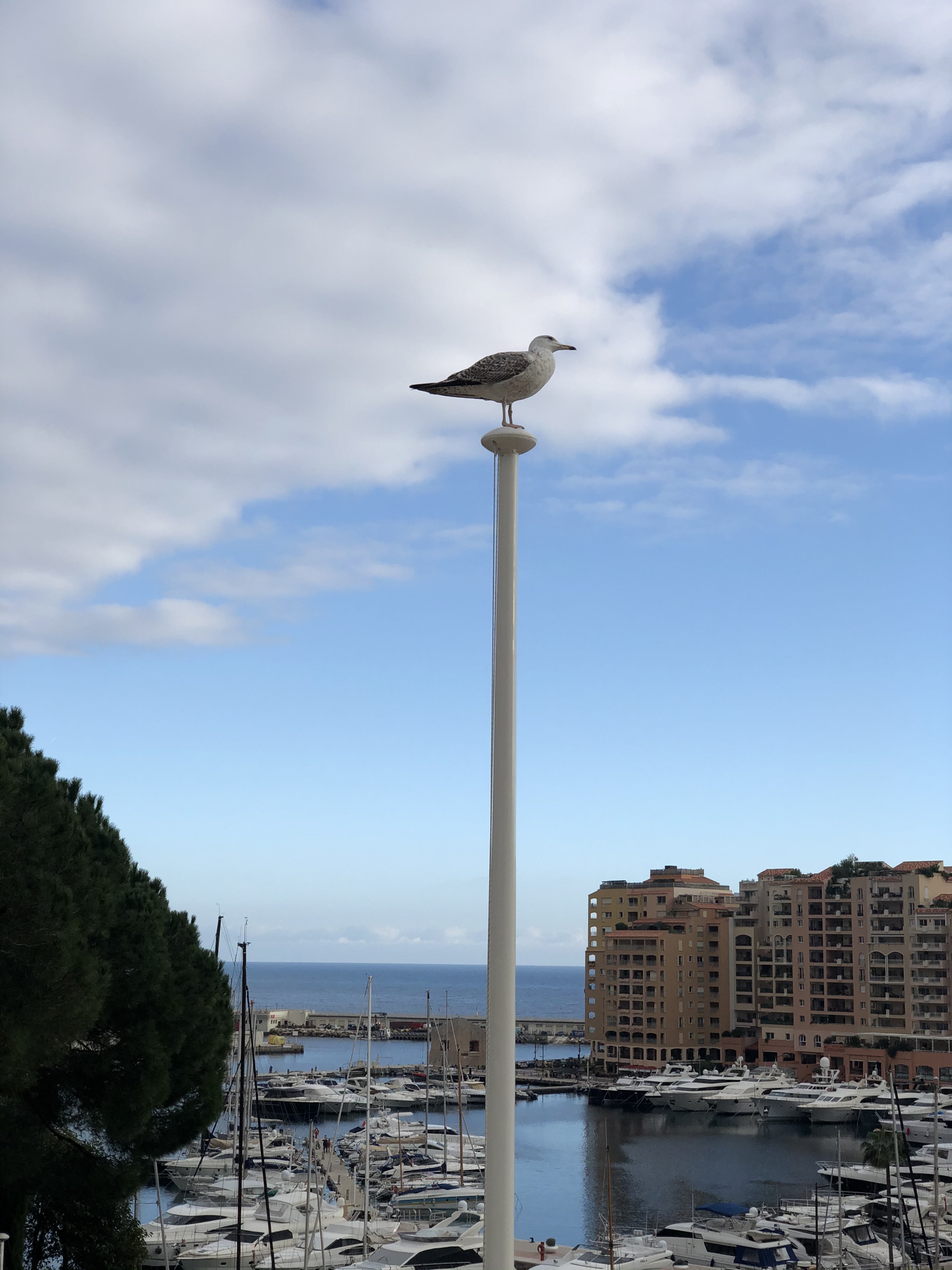 Juan Manuel Fangio Memorial