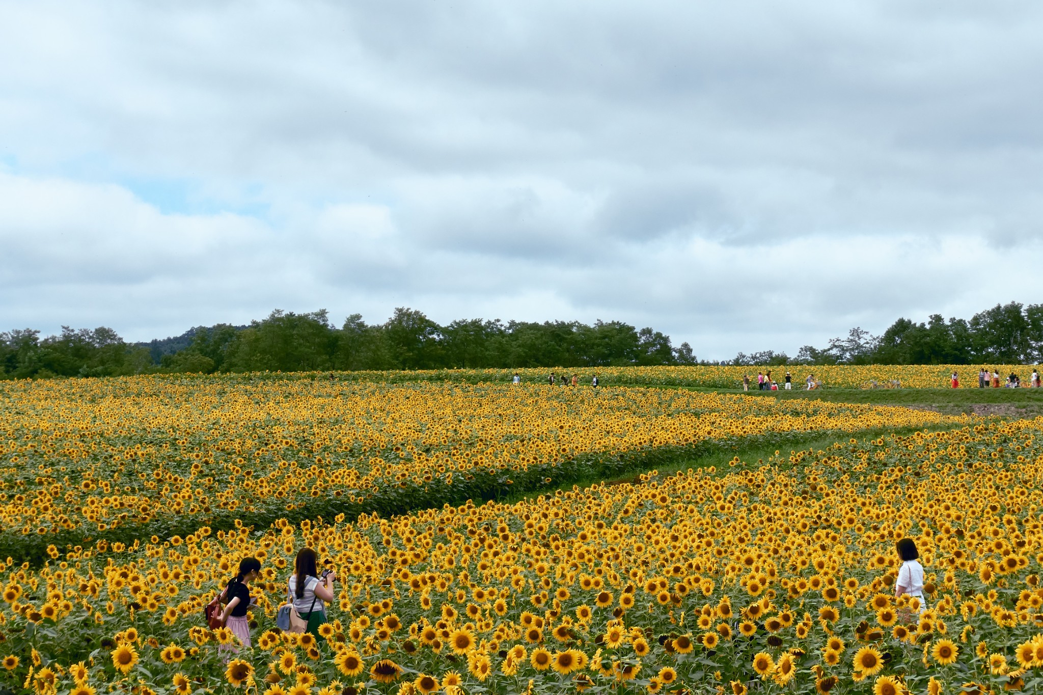 北海道自助遊攻略