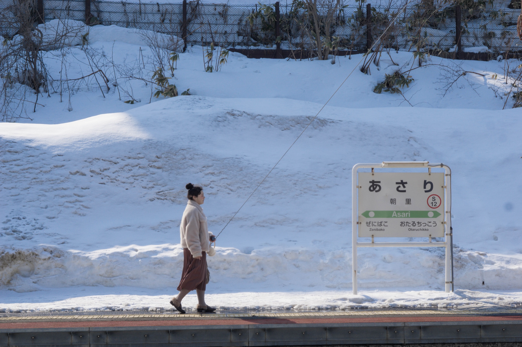 北海道自助遊攻略