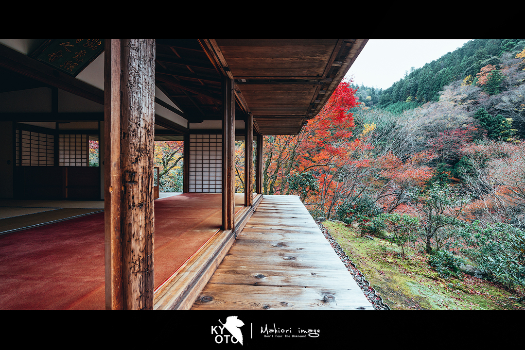 京都自助遊攻略