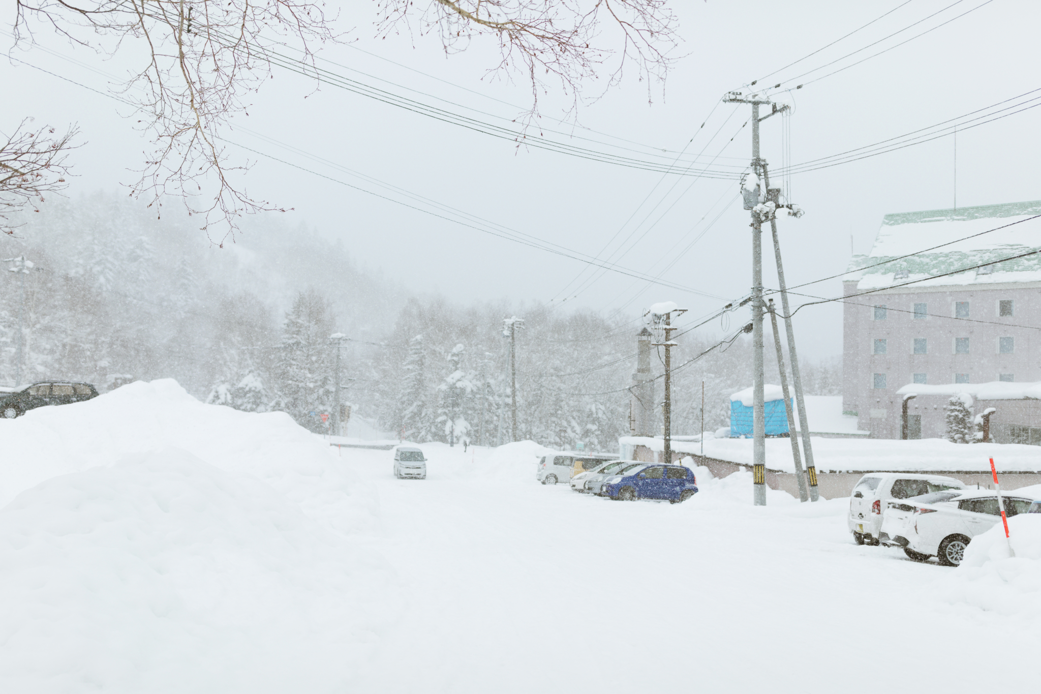 北海道自助遊攻略