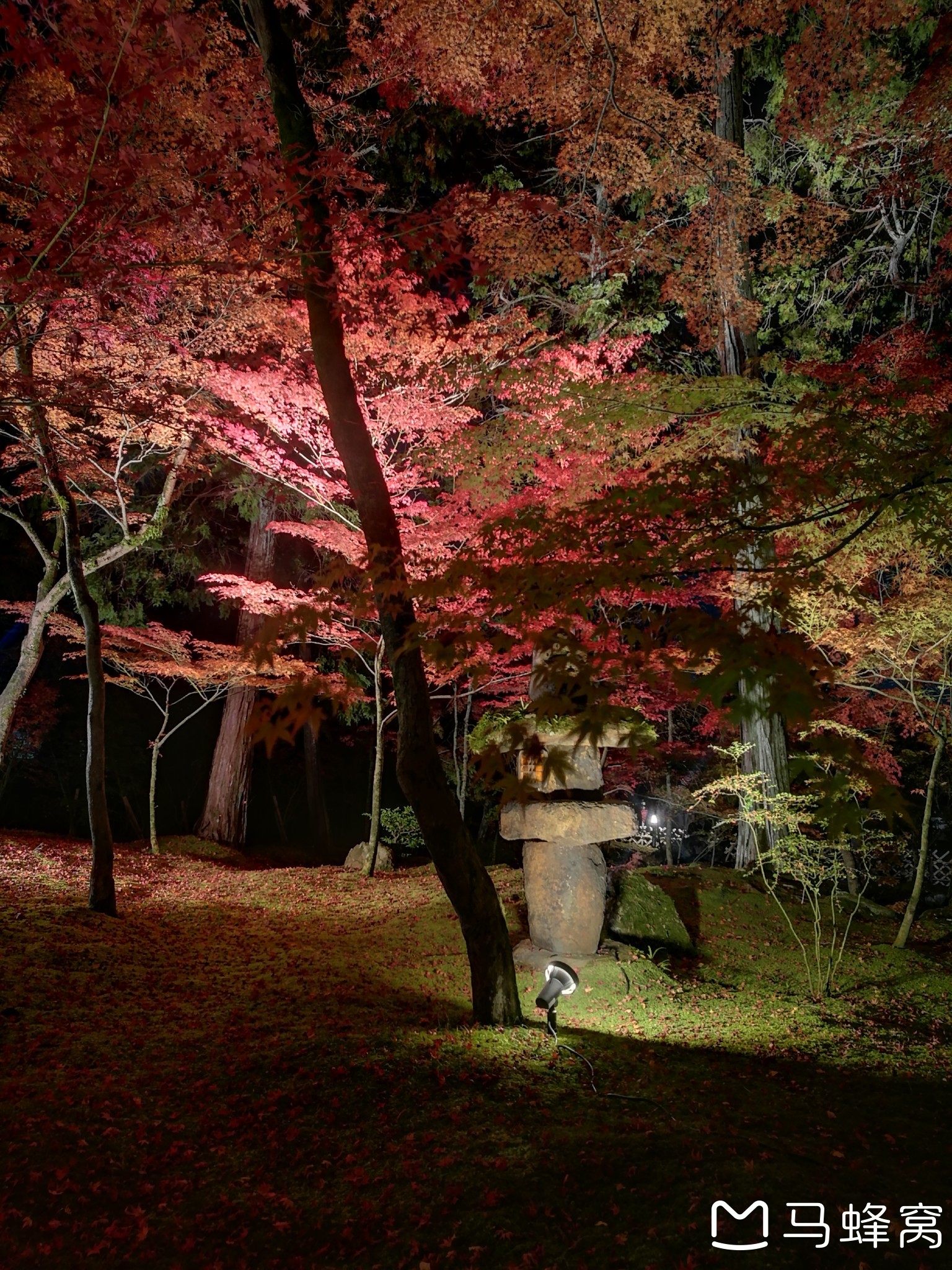 京都自助遊攻略