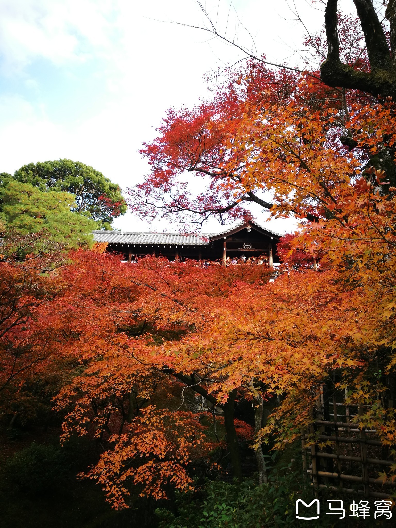 京都自助遊攻略