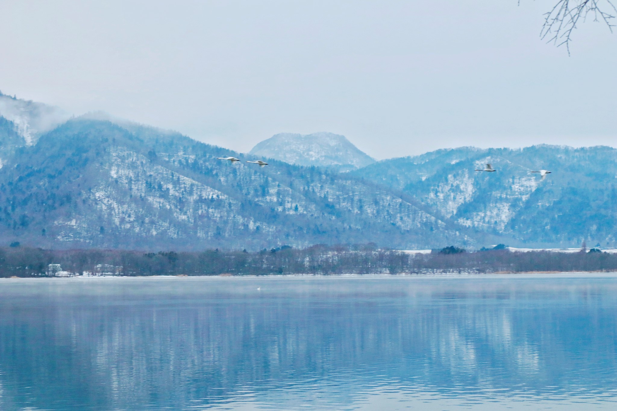 北海道自助遊攻略