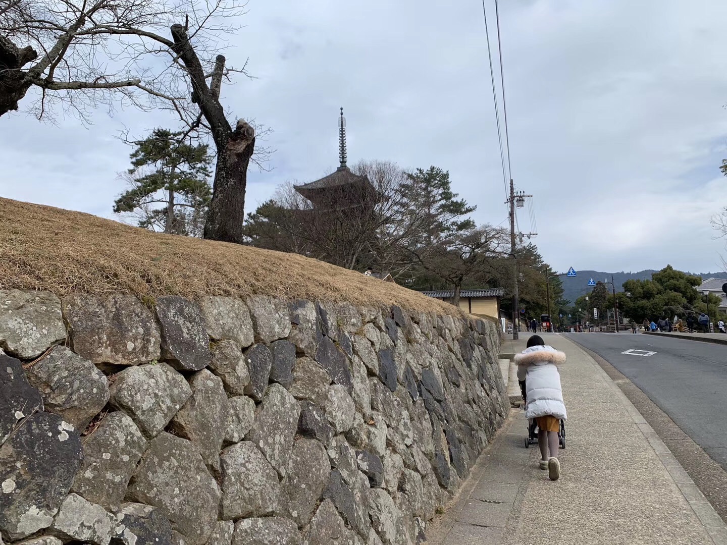 名古屋自助遊攻略