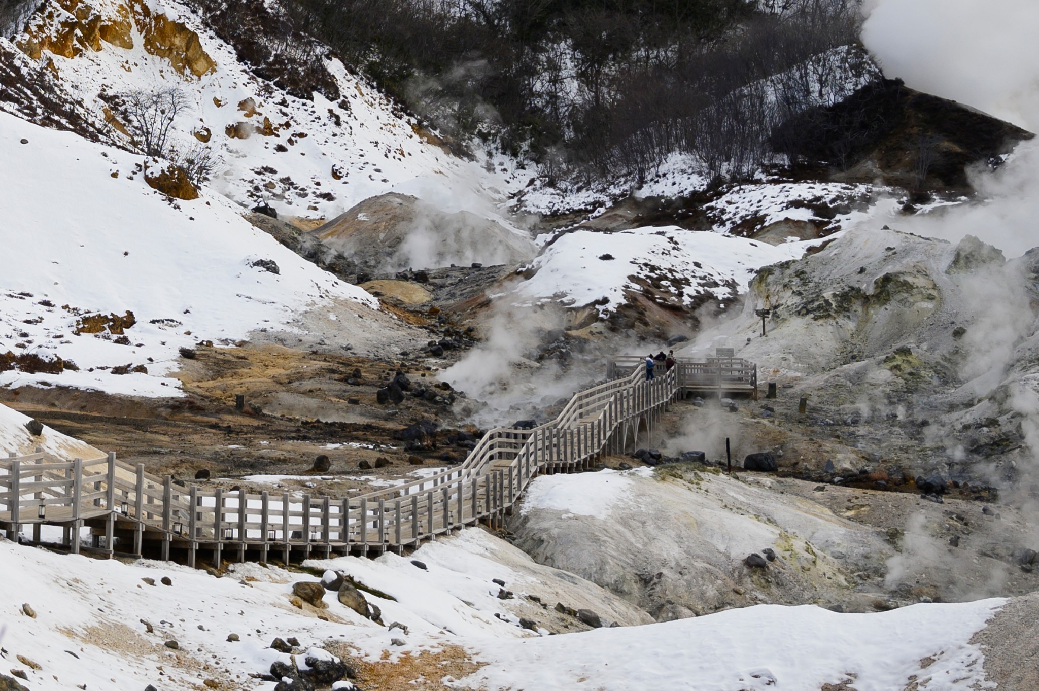 北海道自助遊攻略