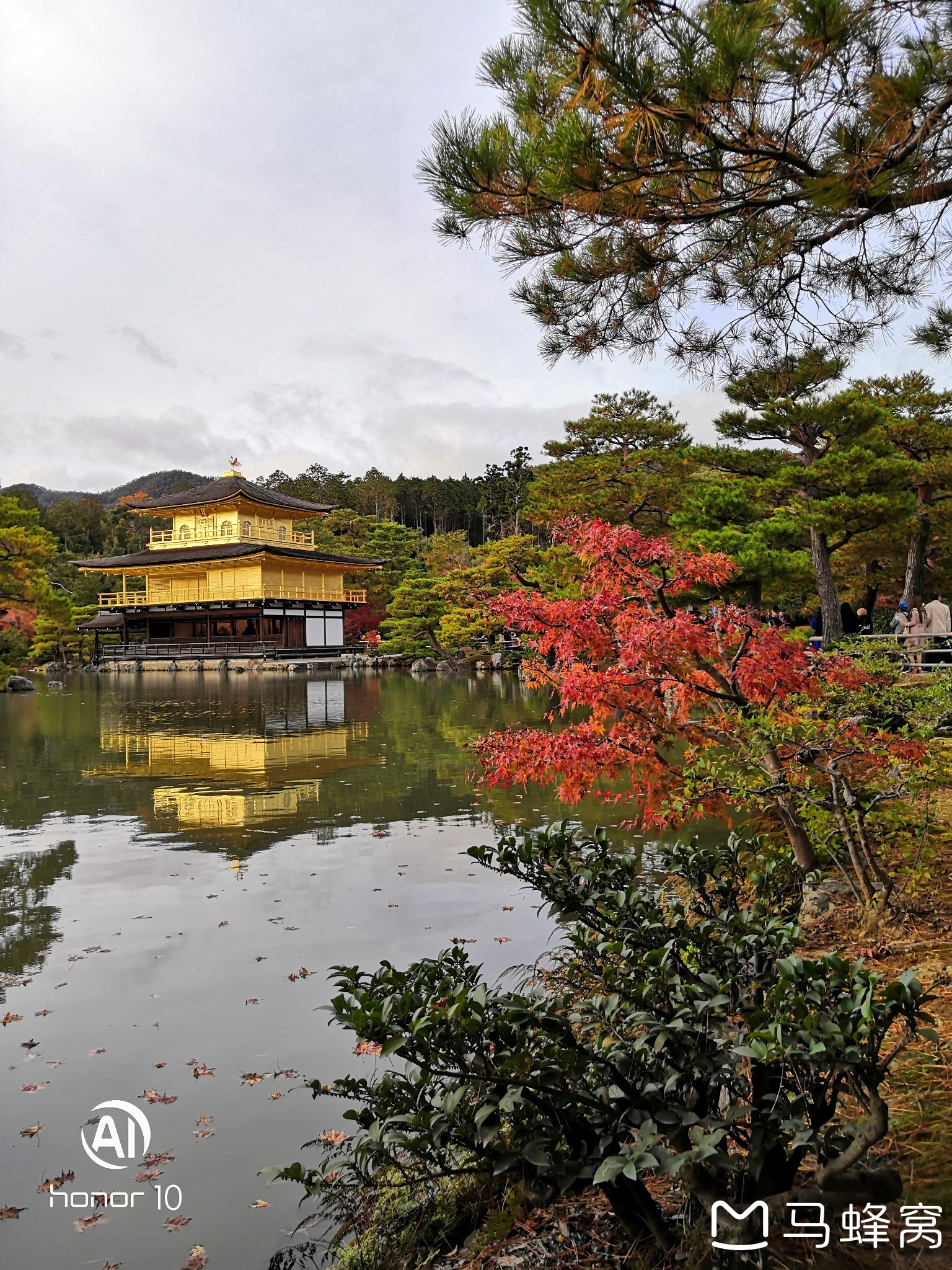 京都自助遊攻略