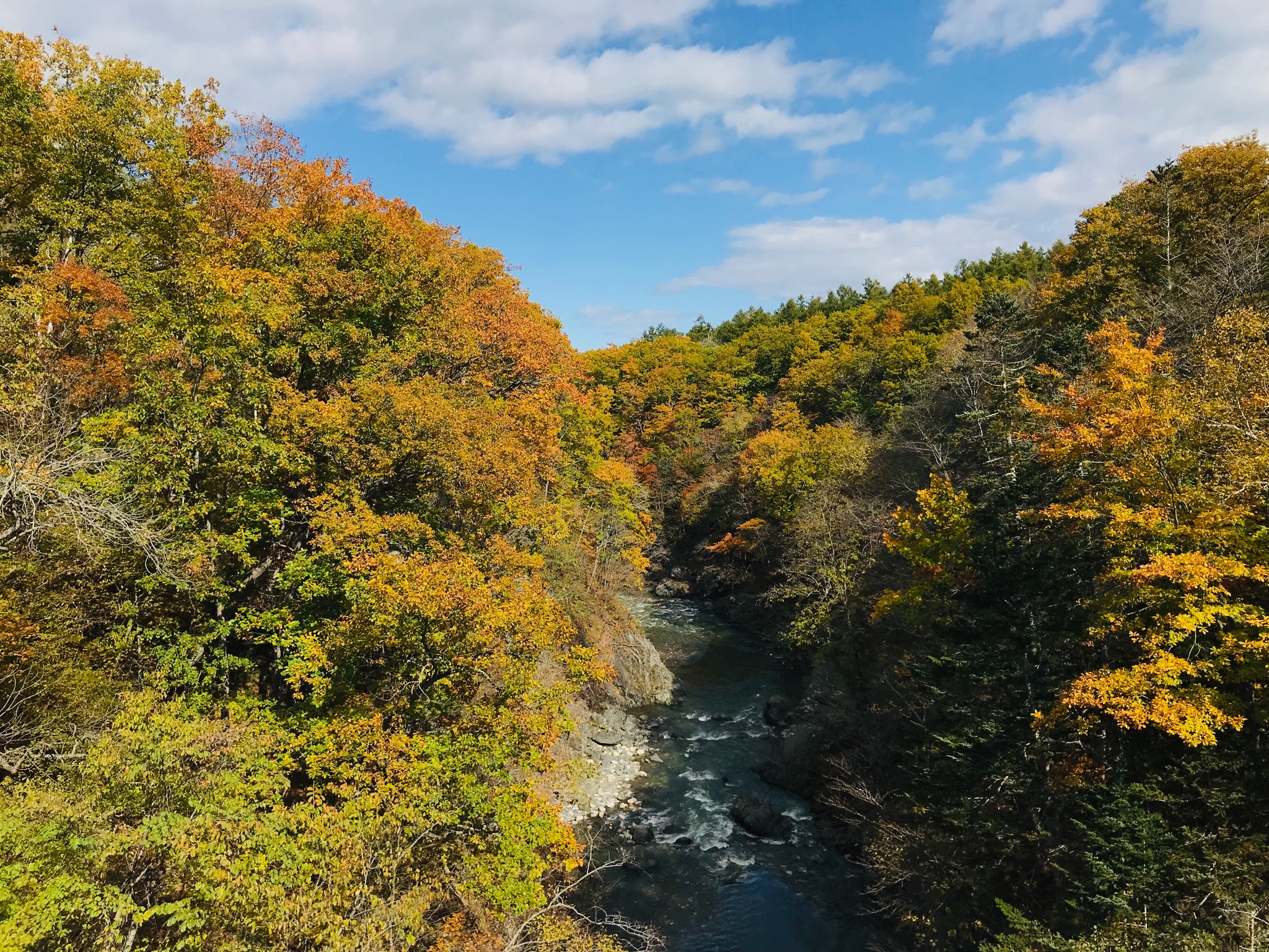 北海道自助遊攻略