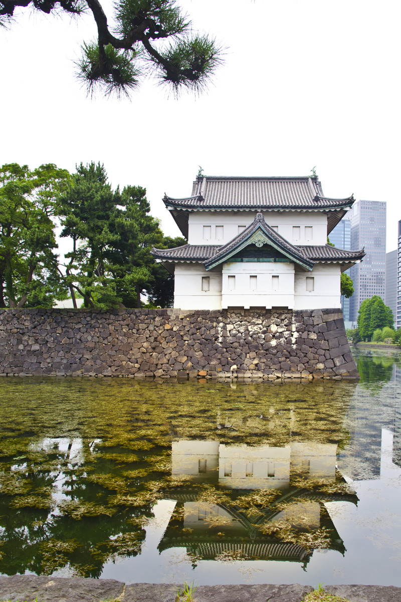 北海道自助遊攻略