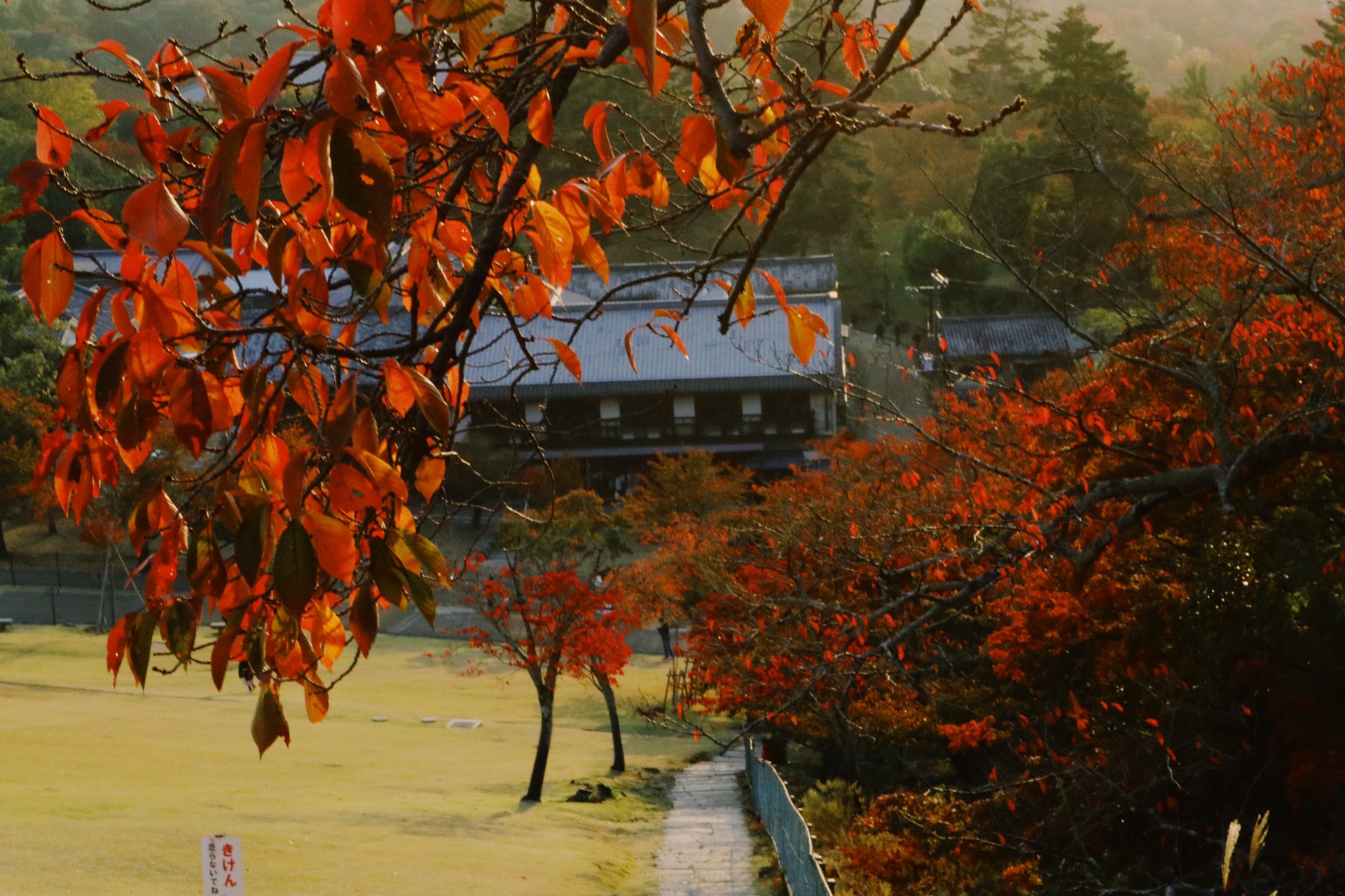 京都自助遊攻略