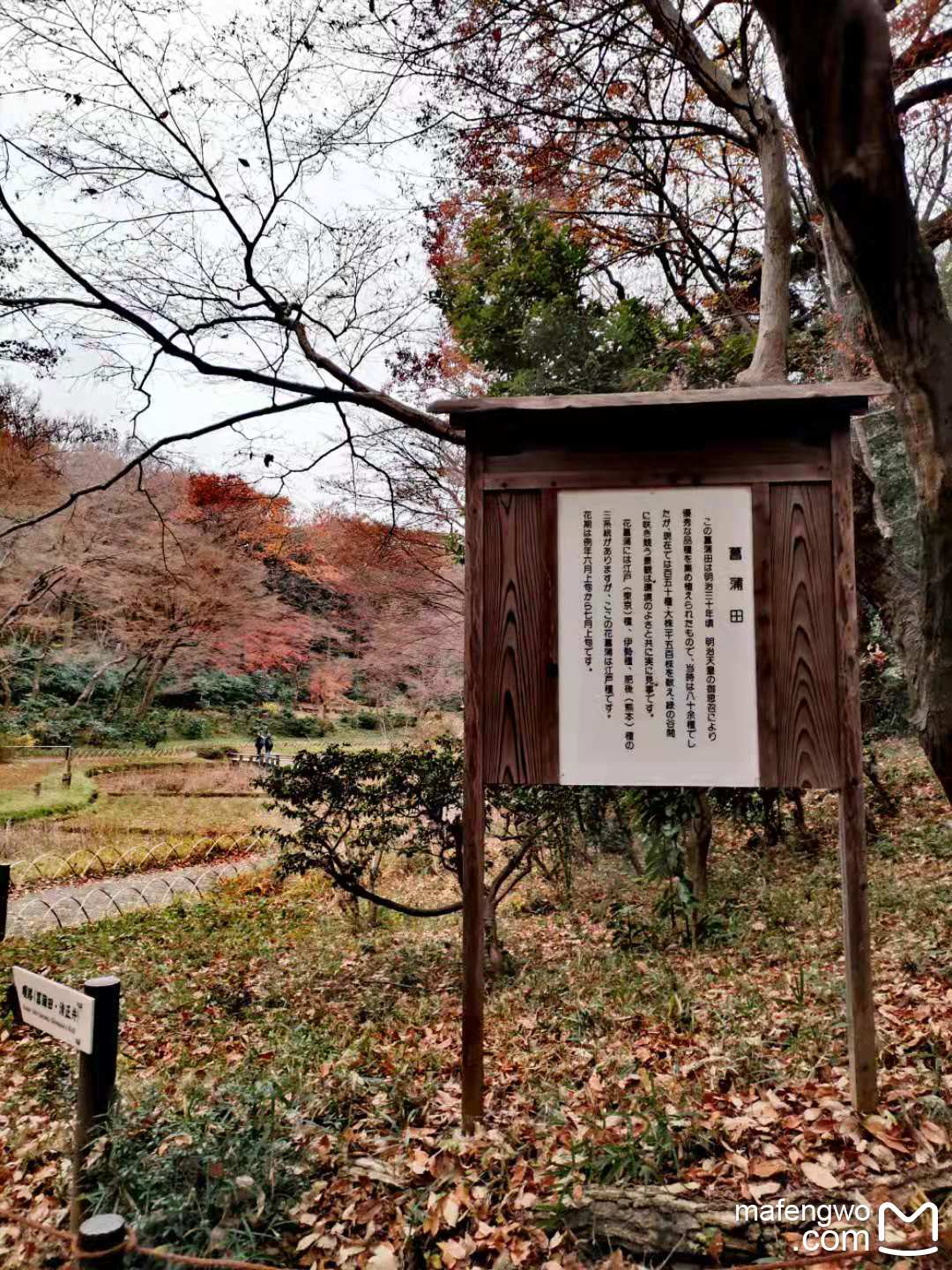 東京自助遊攻略