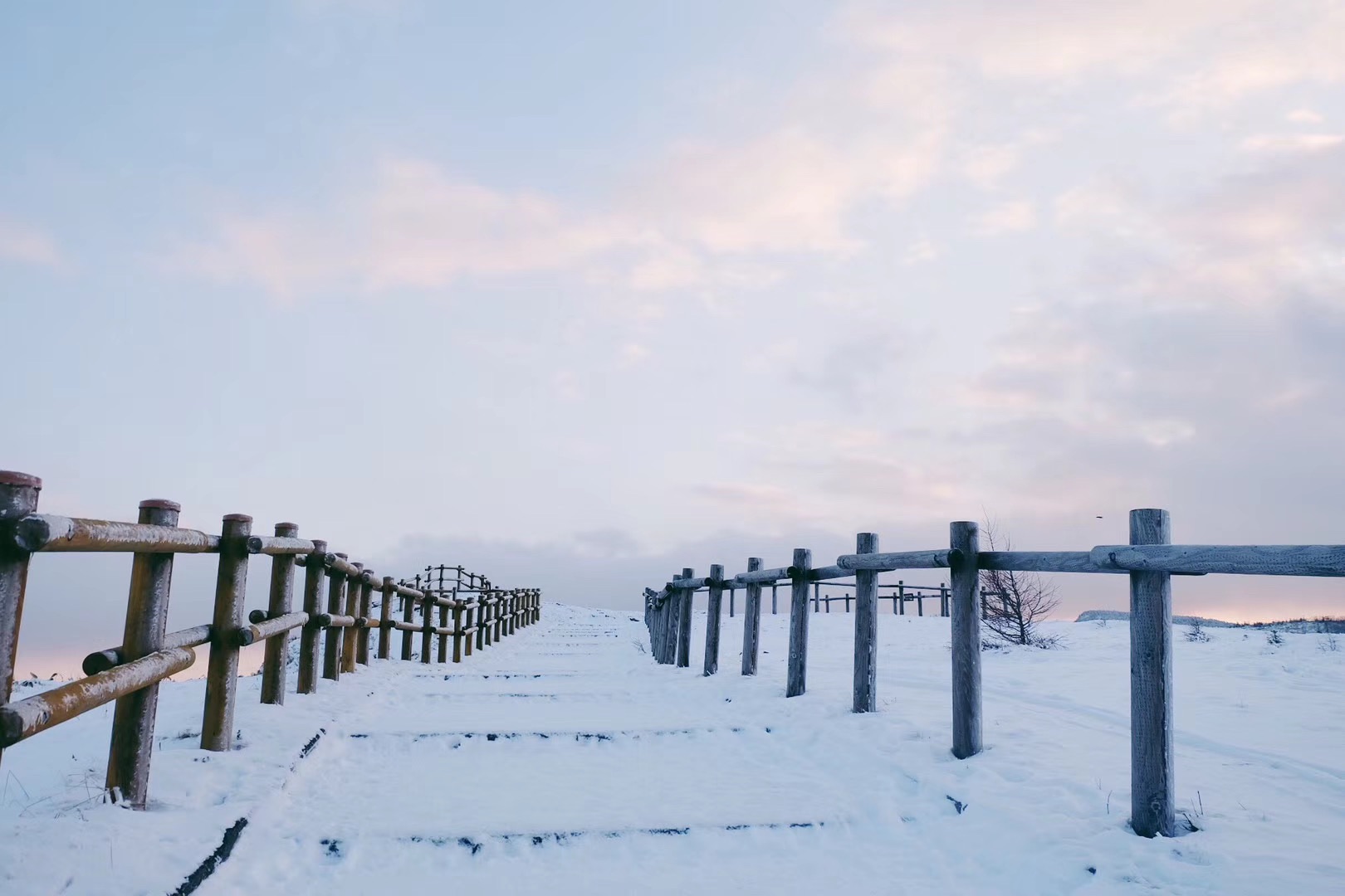 北海道自助遊攻略