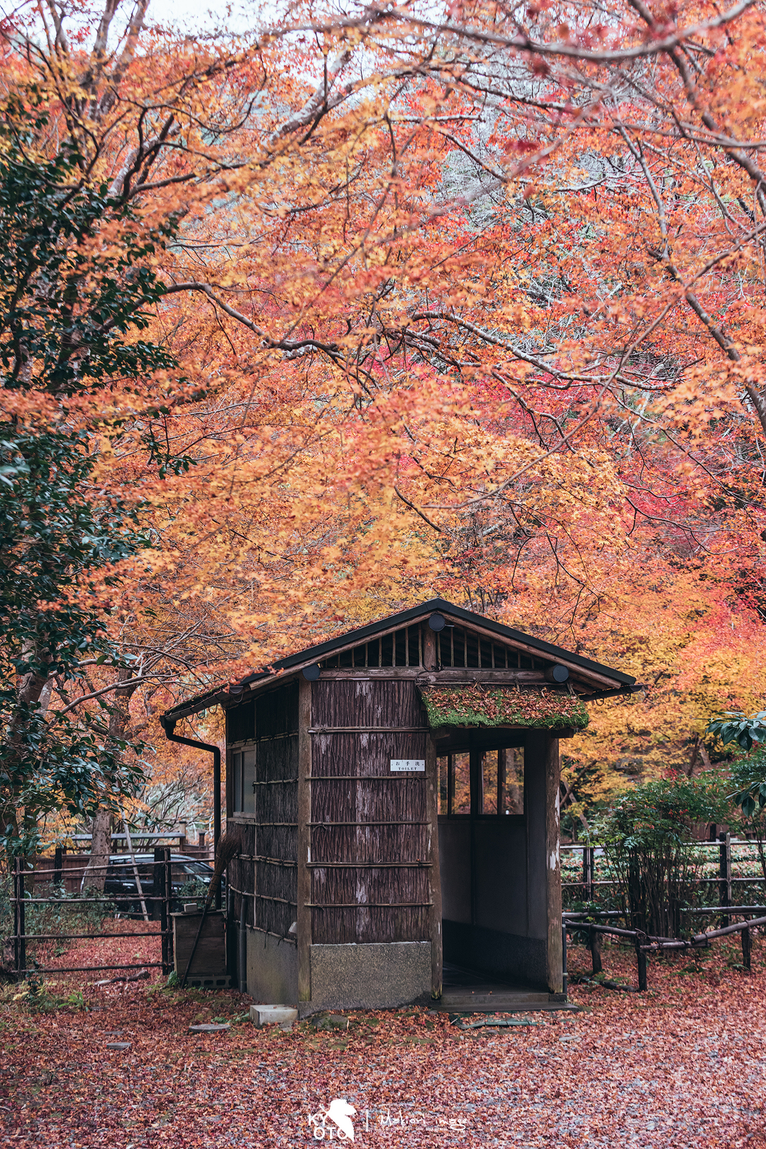 京都自助遊攻略