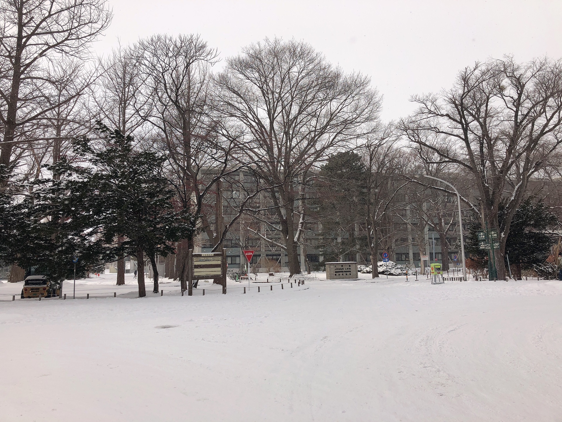 札幌自助遊攻略