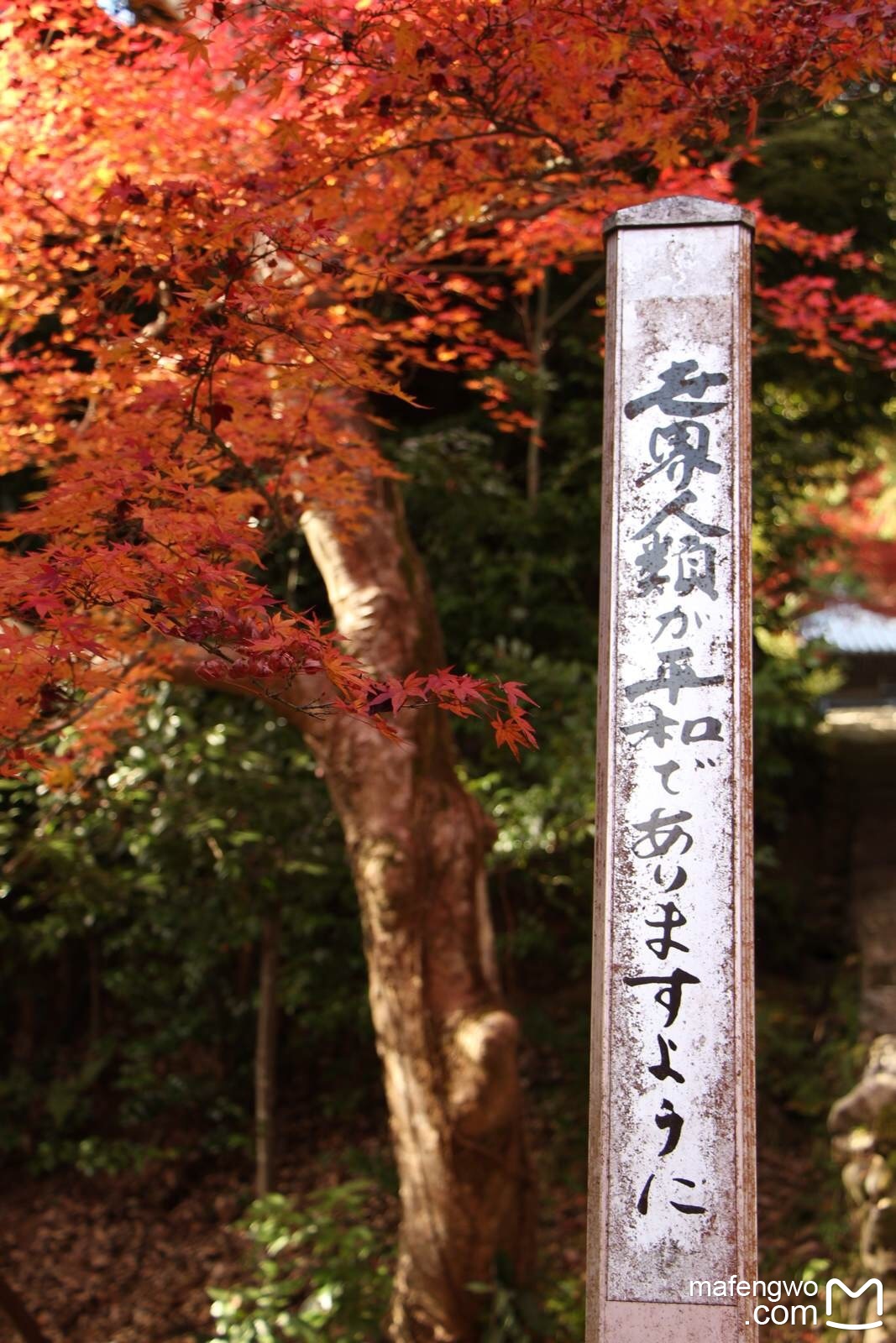 京都自助遊攻略