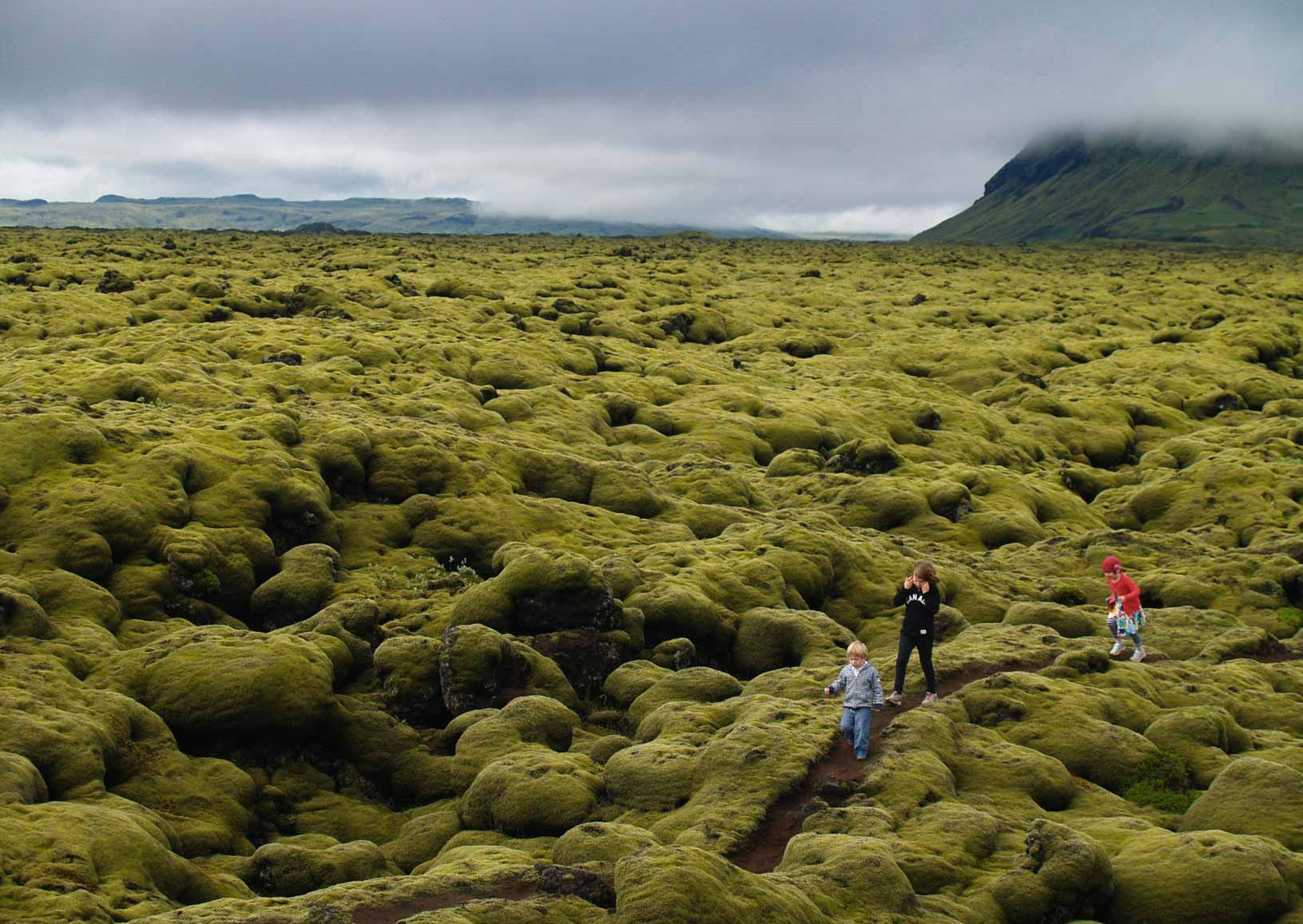 从维克镇前往瓦特纳冰川的路上,你会在一号公路的两侧发现大片的苔原