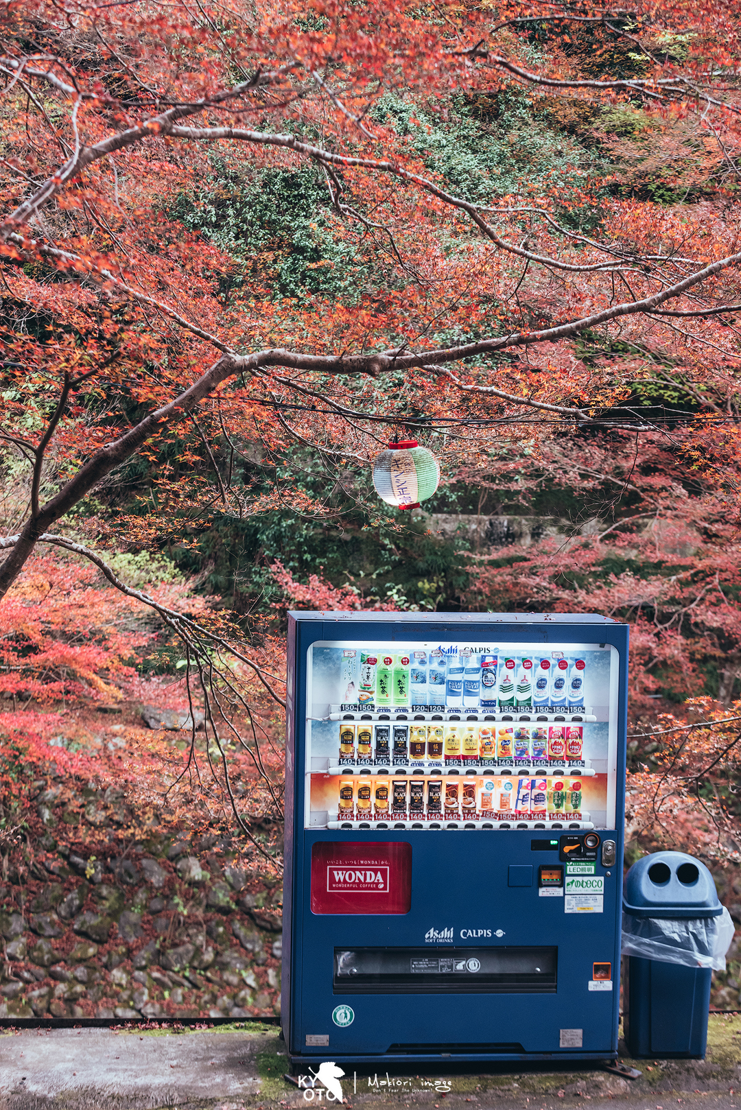 京都自助遊攻略