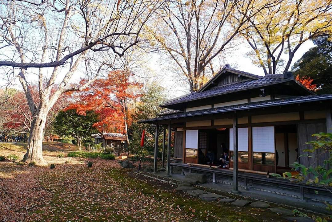 東京自助遊攻略