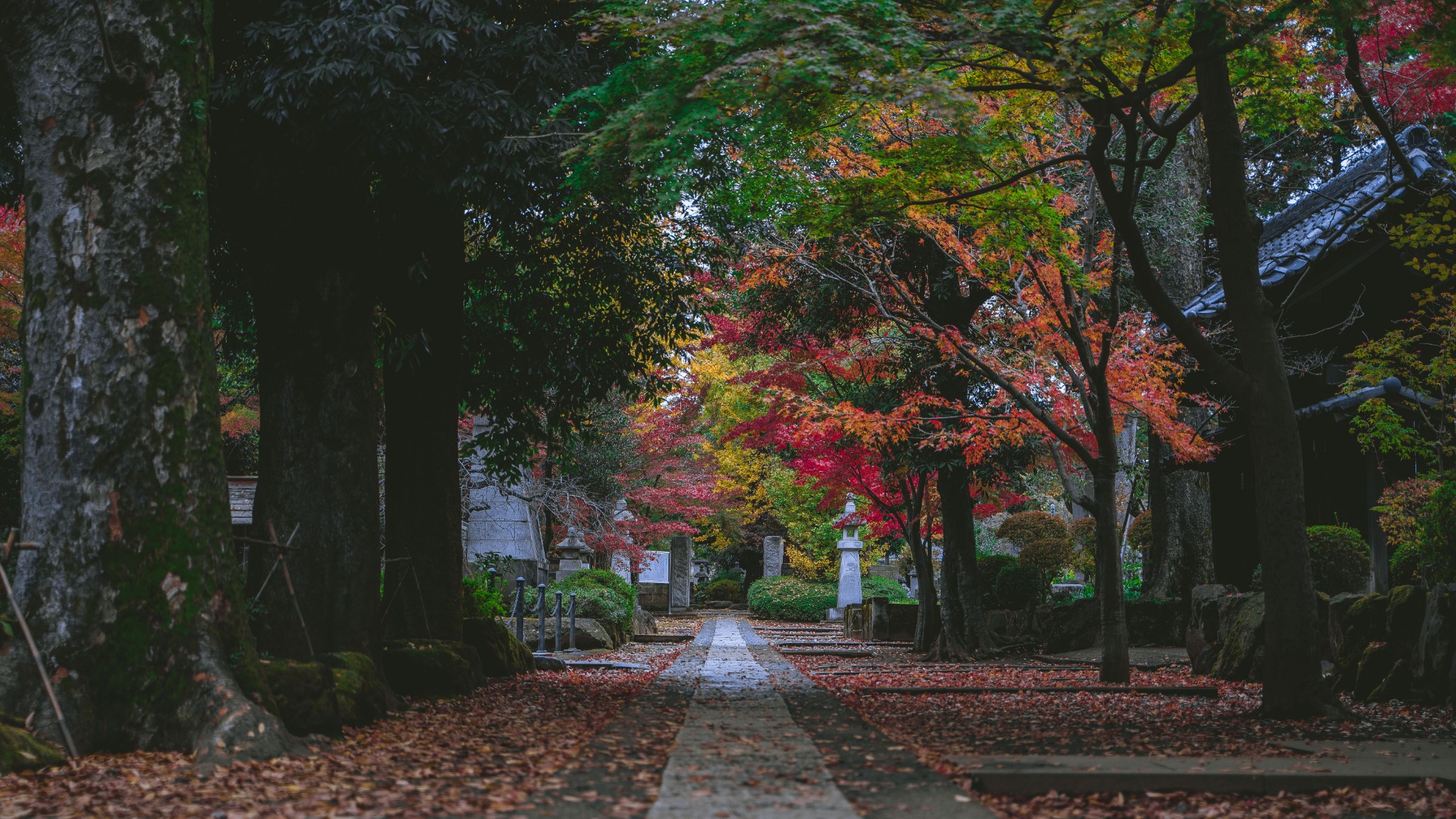 東京自助遊攻略