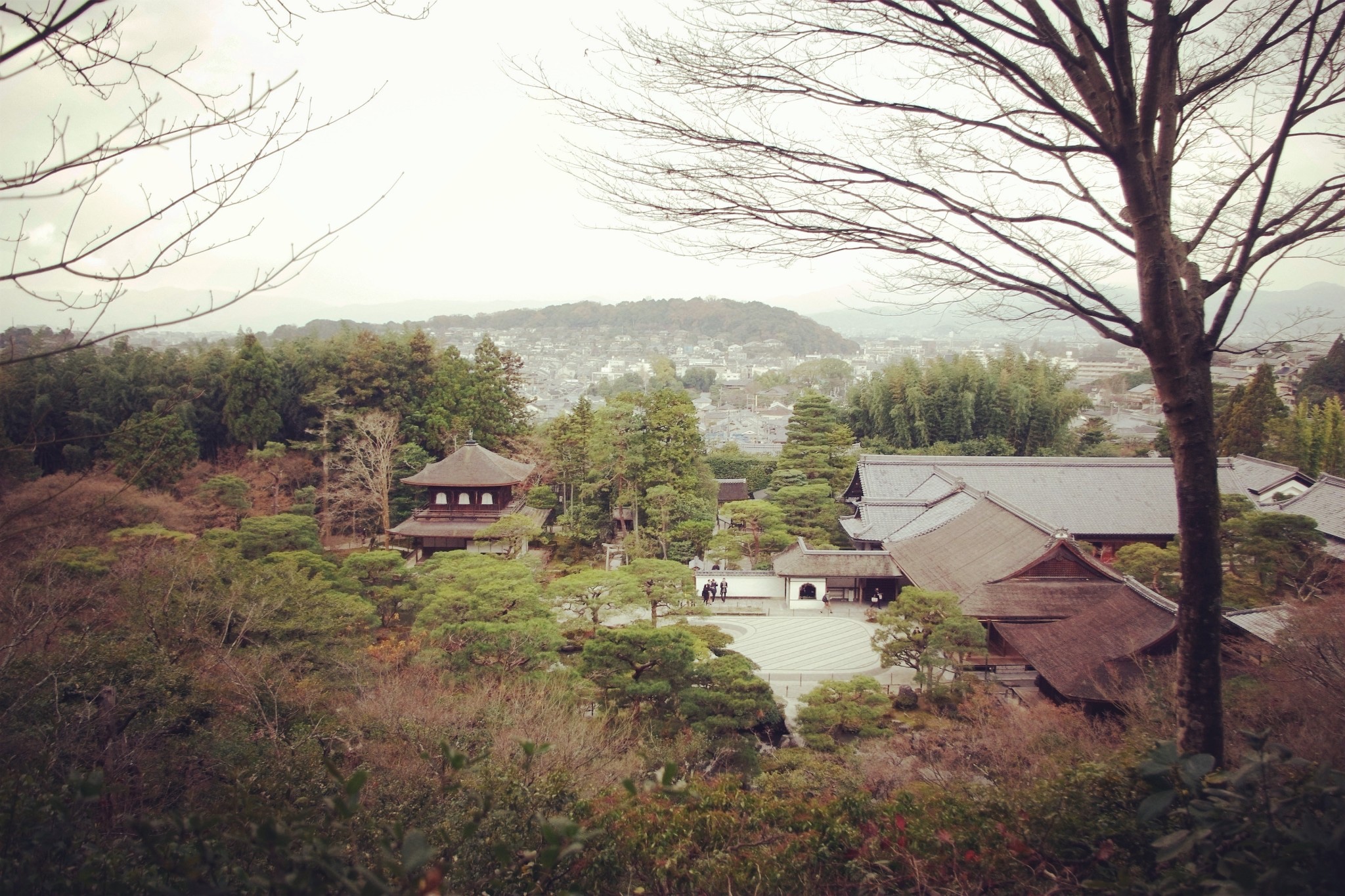 京都自助遊攻略