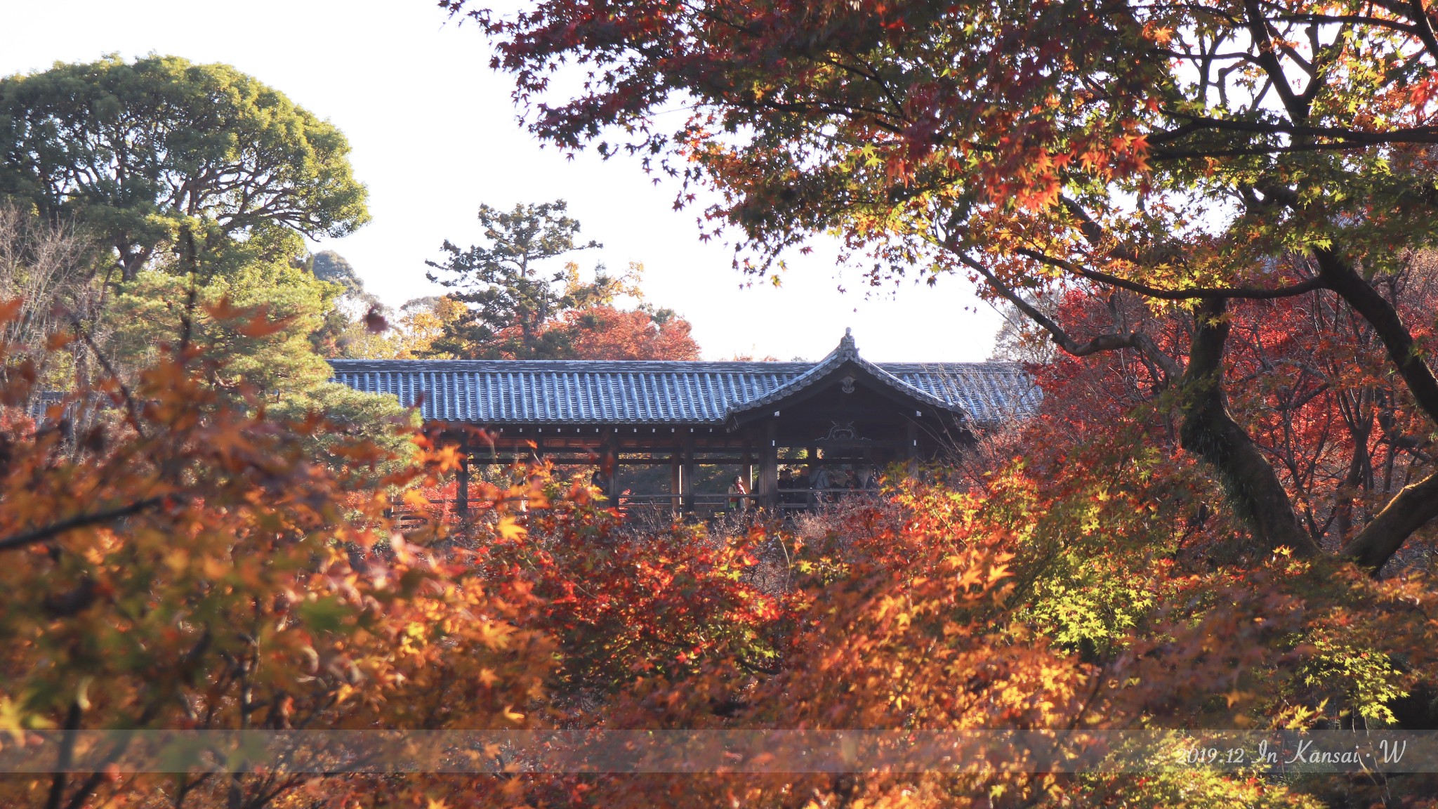 京都自助遊攻略