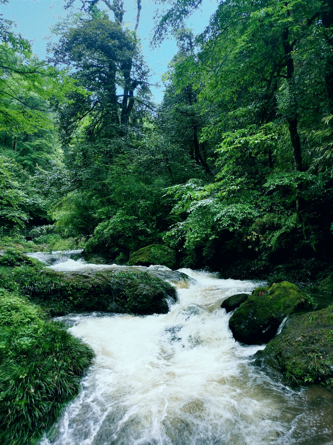 雅安桌山图片